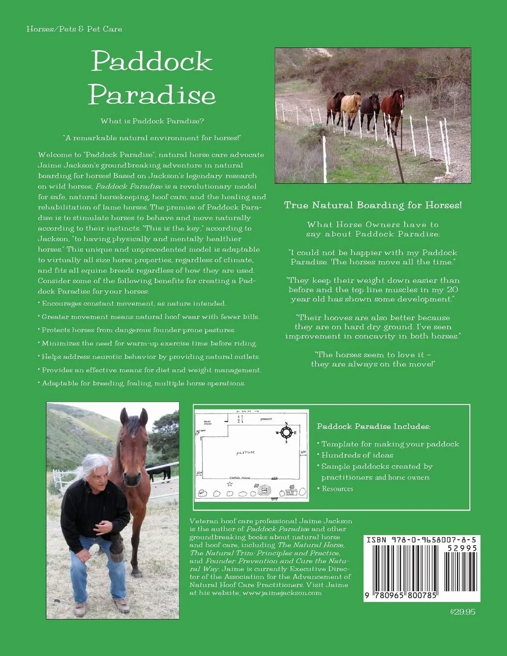 Paddock Paradise: A Guide to Natural Horse Boarding