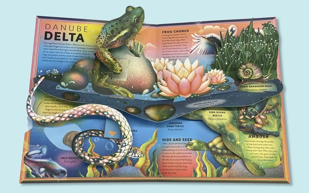 Pop-up Frog And Wetland Creatures