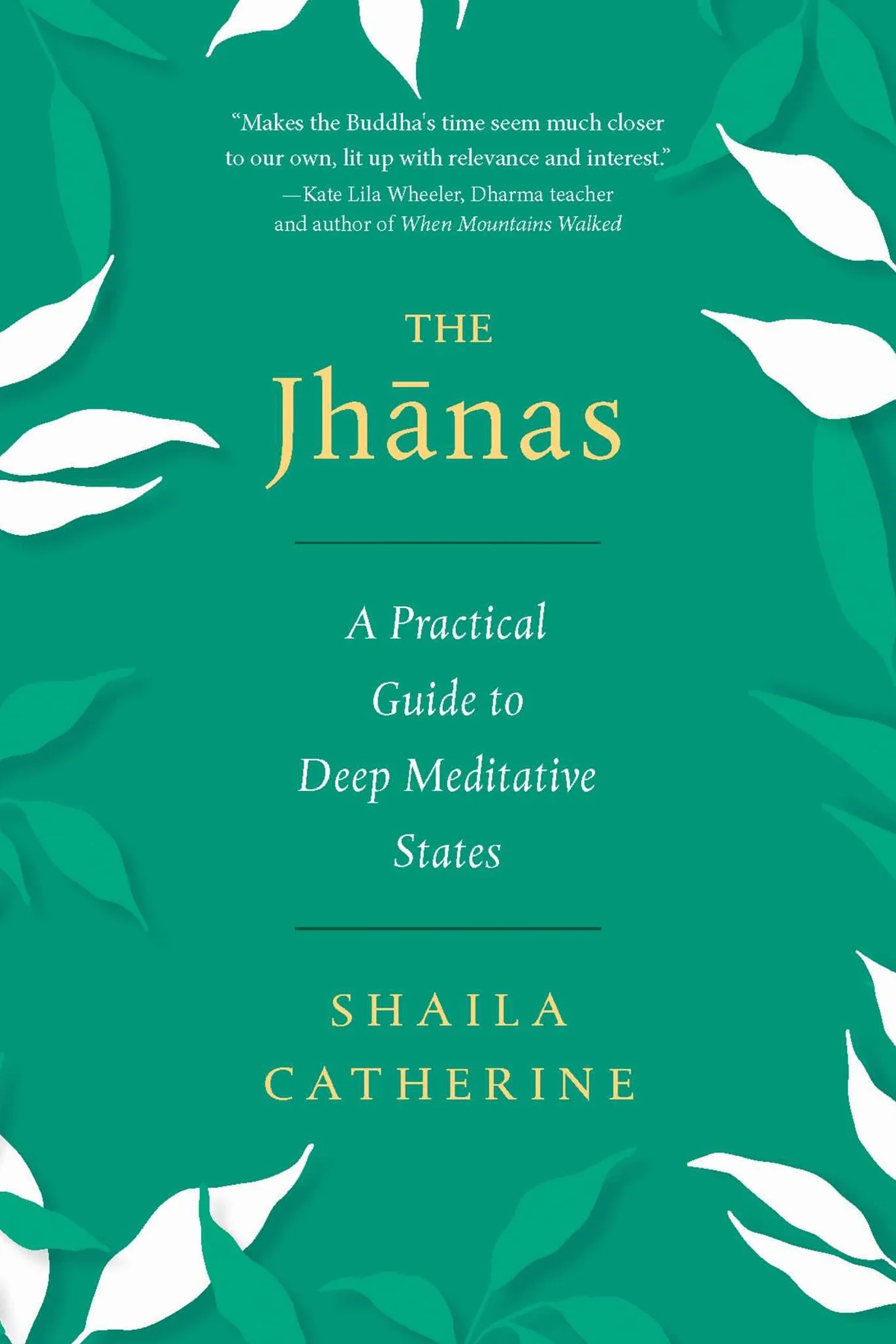 The Jhanas: A Practical Guide to Deep Meditative States
