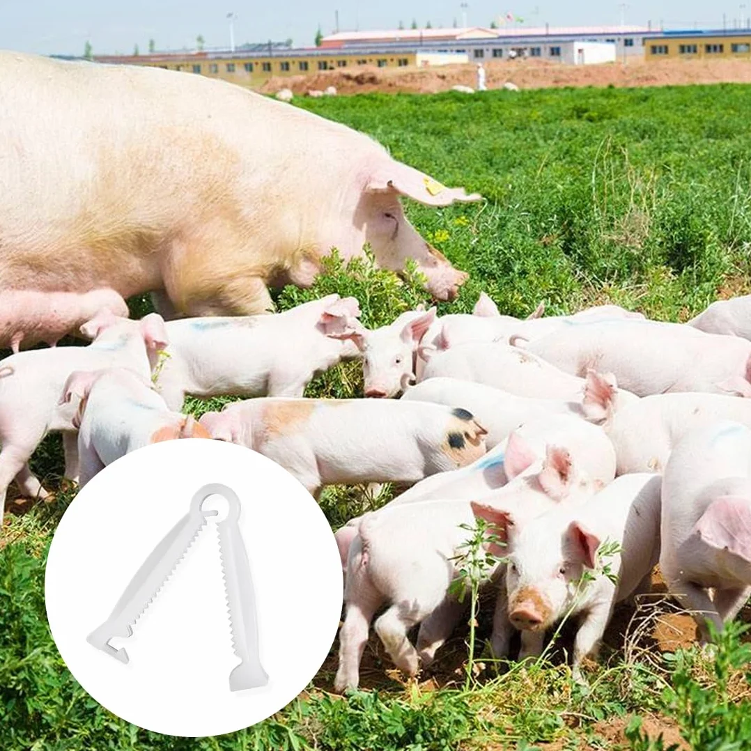 WeddHuis 20 szt. klipsów jednorazowych dla szczeniąt z wytrzymałego materiału PVC