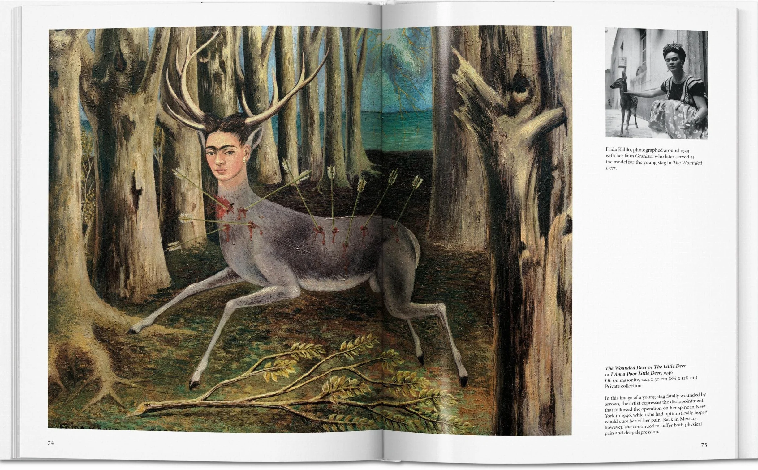 Frida Kahlo 1907-1954 Pain and Passion