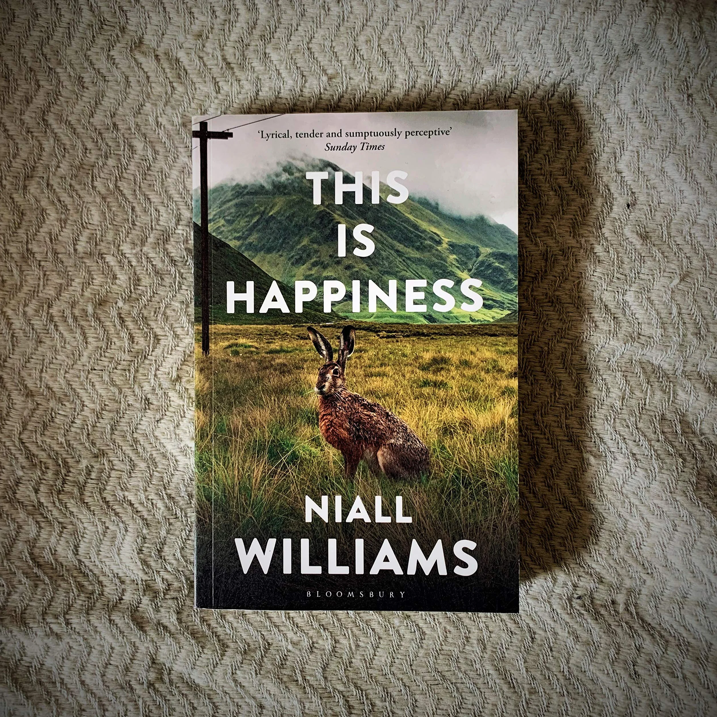 This Is Happiness: By the author of Four Letters of Love, now a major film starring Helena Bonham Carter and Pierce Brosnan