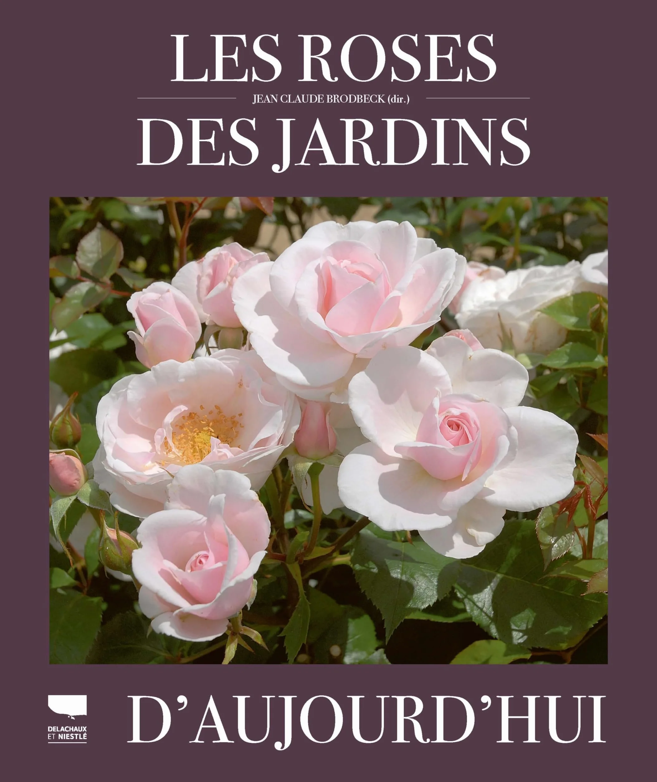 Les roses des jardins d'aujourd'hui