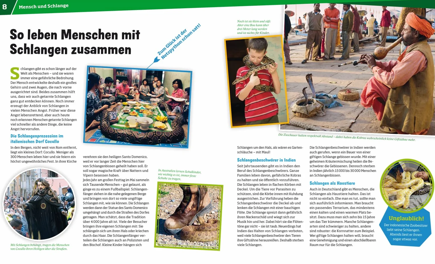 WAS IST WAS Band 121 Schlangen Jäger mit dem sechsten Sinn