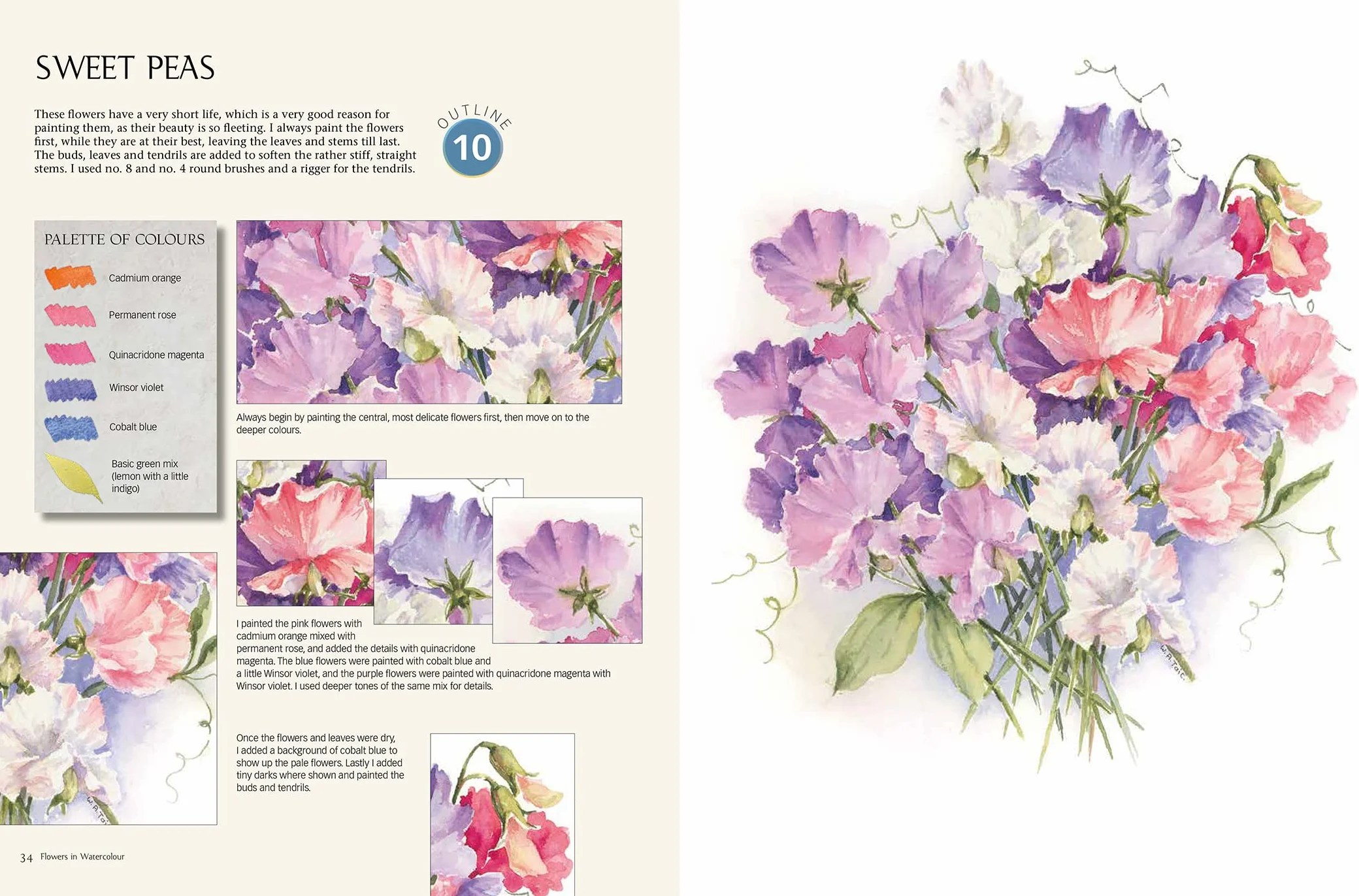 The Watercolour Sourcebook: 60 Inspiring Pictures to Transfer and Paint with Full-Size Outlines