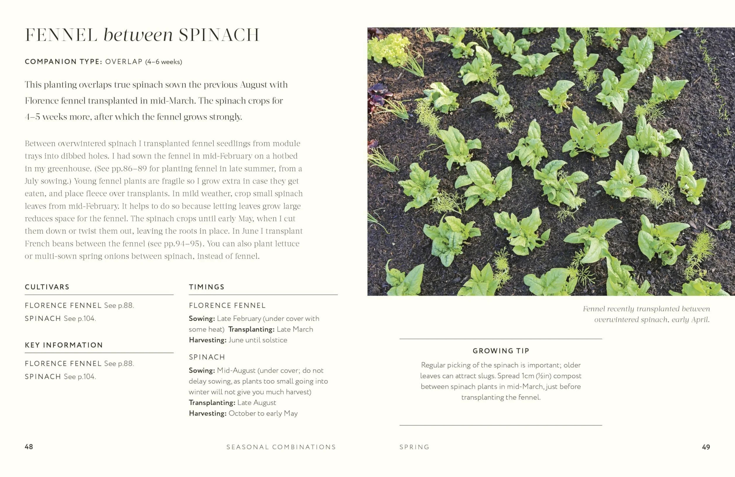 Grow Together: 50 Planting Partnerships to Boost Your Harvests