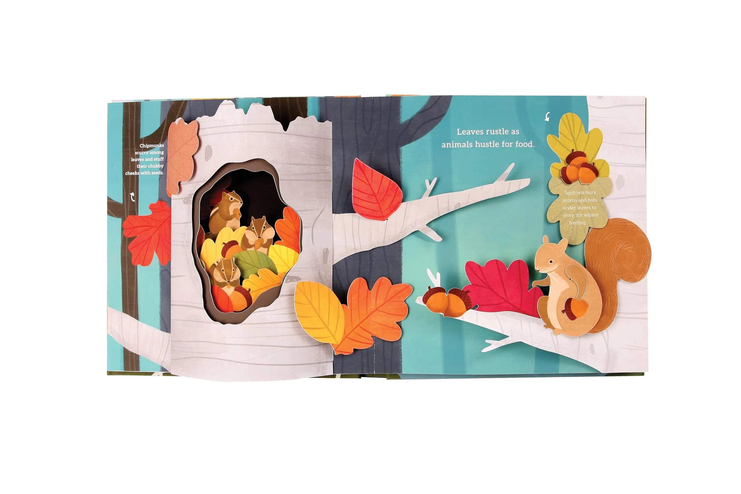 Leaves: An Autumn Pop-Up Book