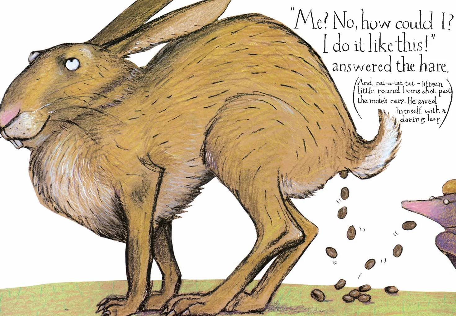 The Story of the Little Mole who knew it was none of his business: The hilarious children's illustrated classic