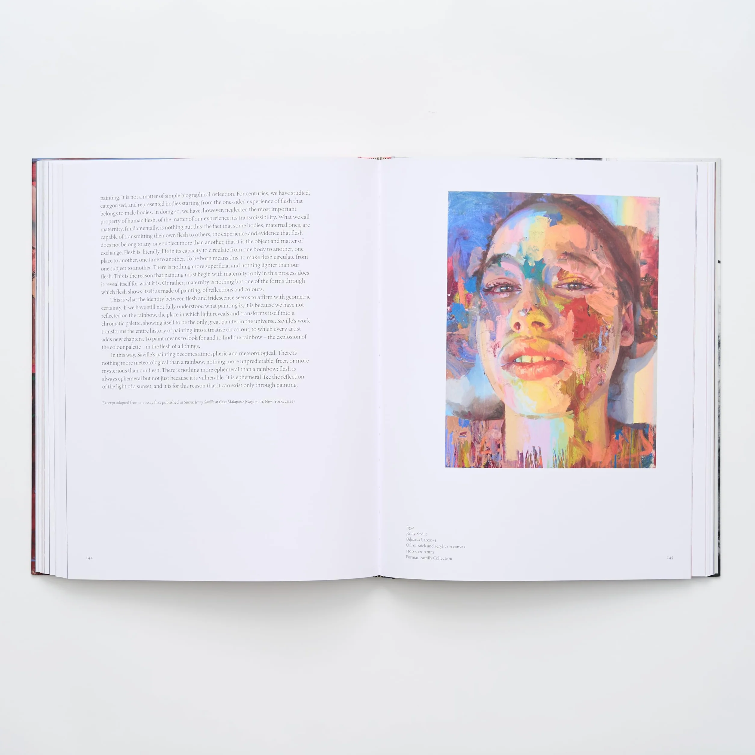 Jenny Saville The Anatomy of Painting /anglais