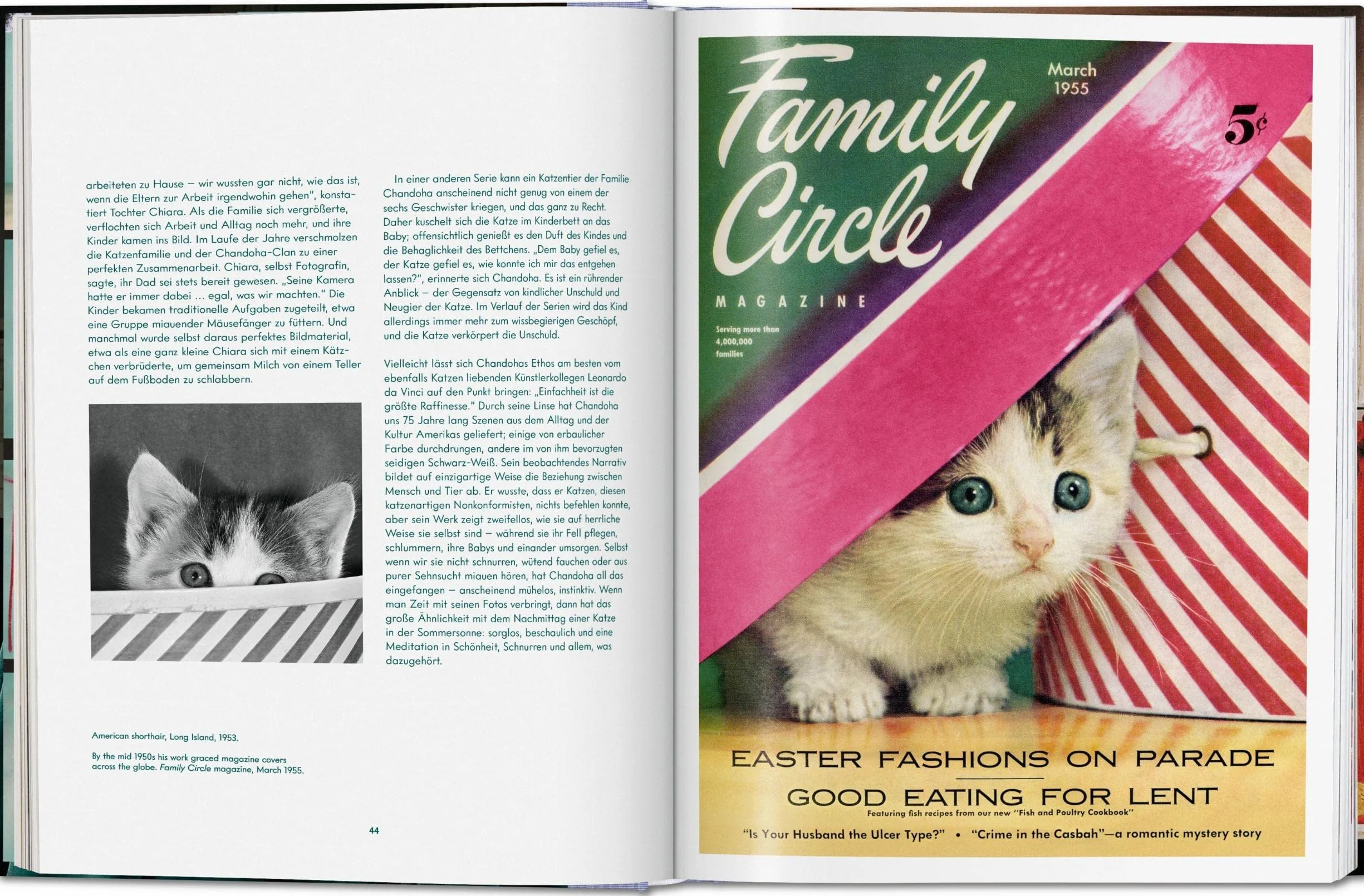 Cats Photographs 1942-2018