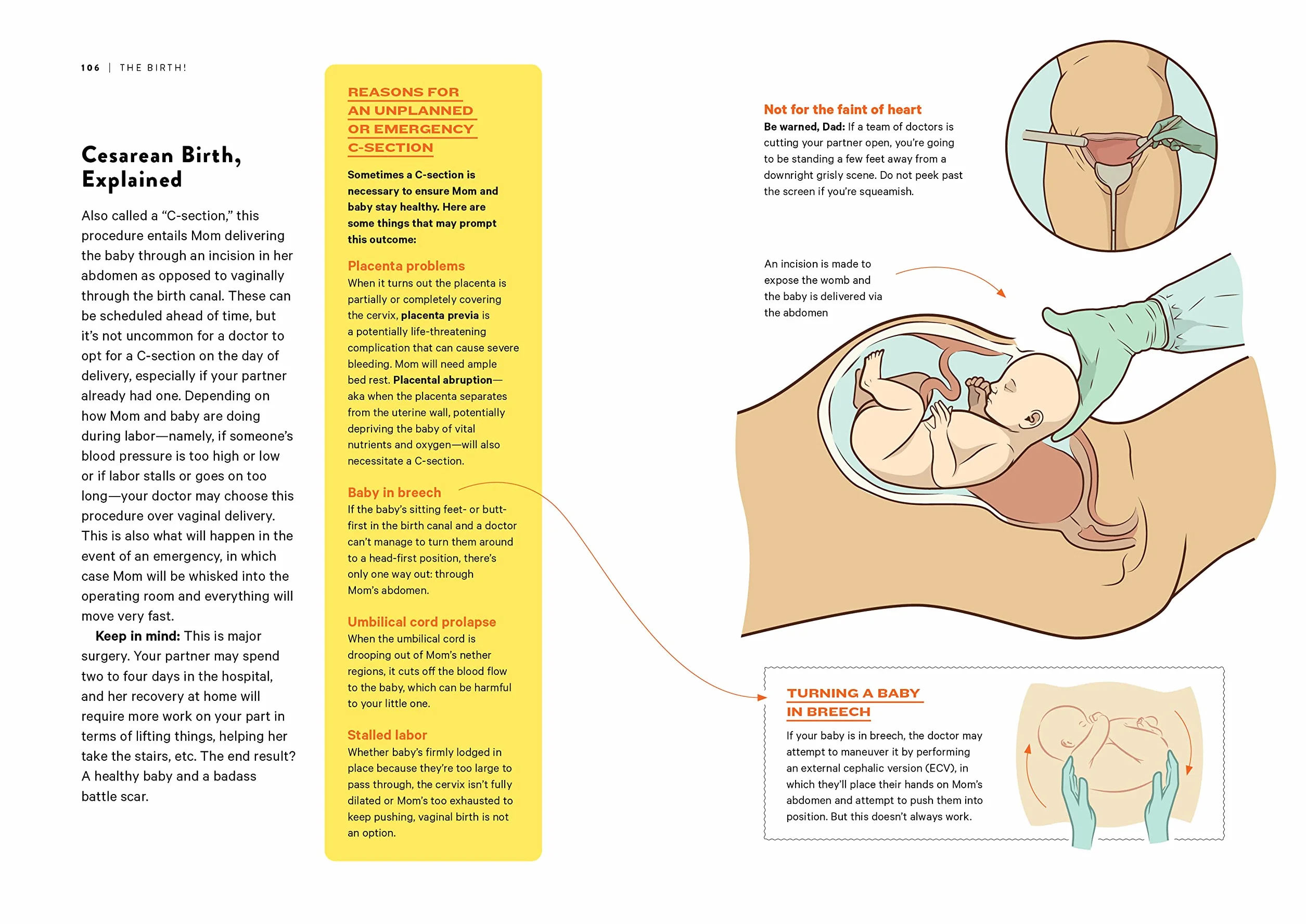 How to Dad: An Illustrated Instruction Manual for First Time Fathers