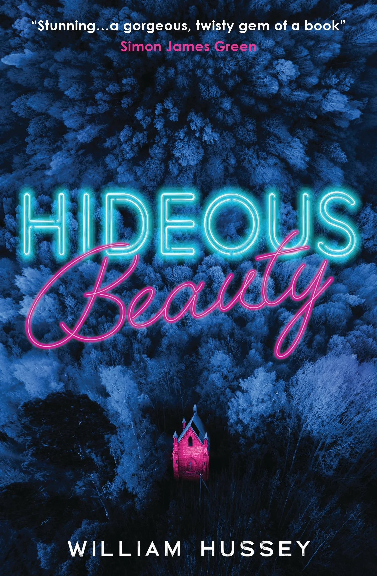 Hideous Beauty
