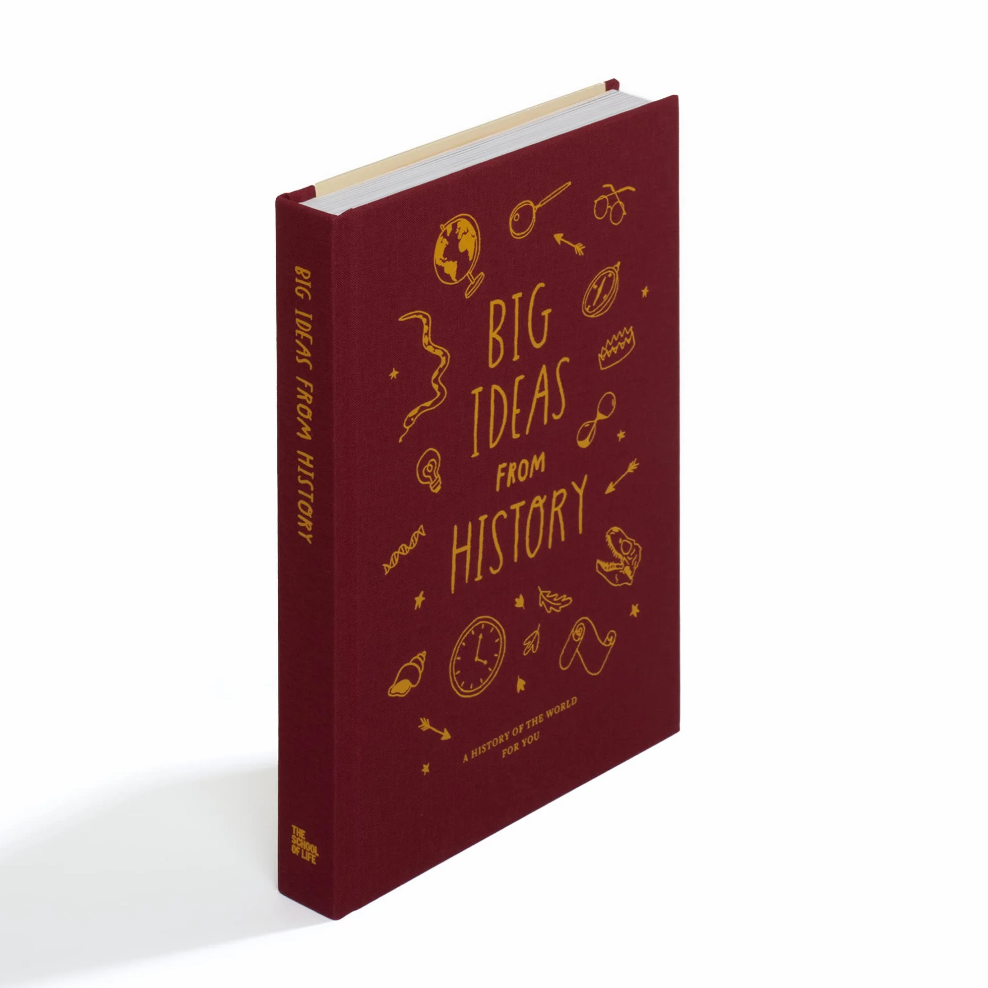 Big Ideas from History: A history of the world for you