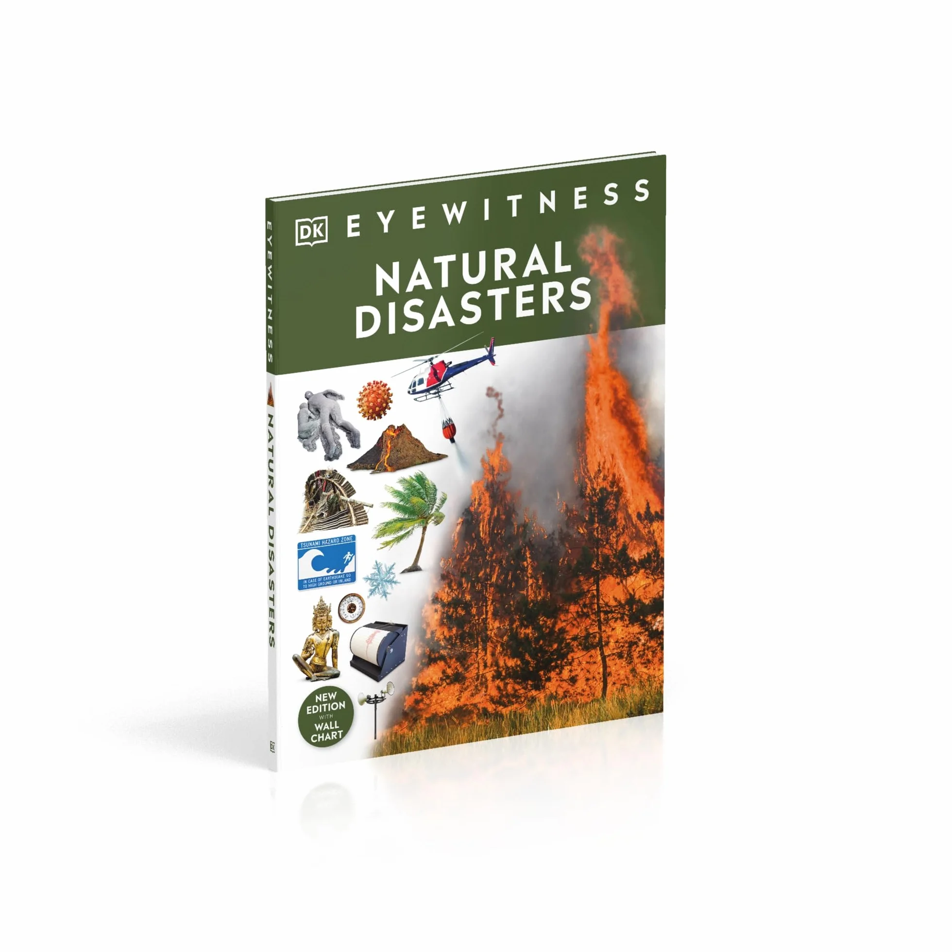 Natural Disasters: DK Eyewitness