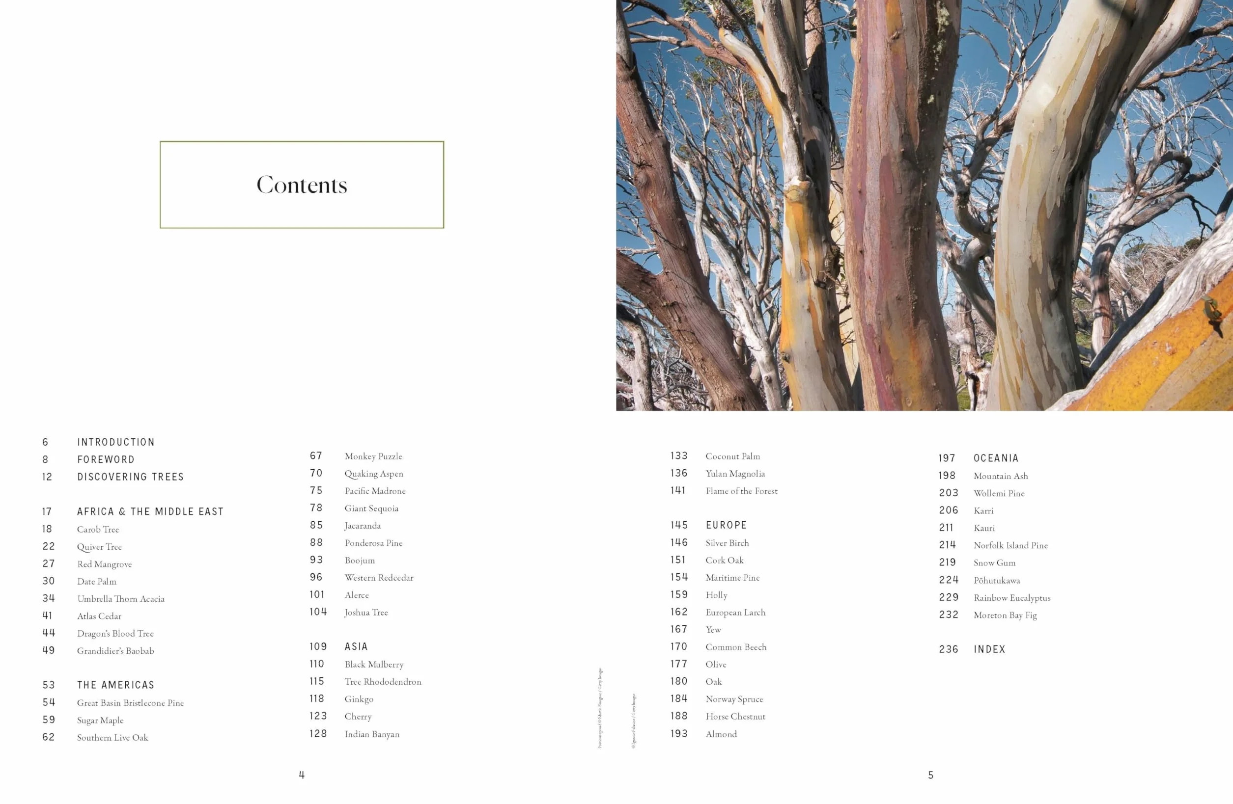 The Tree Atlas 1 -anglais-: 50 Magnificent Species Across the Planet | Practical Travel Advice to See Each Natural Wonder | Exquisite Photography & Illustrations