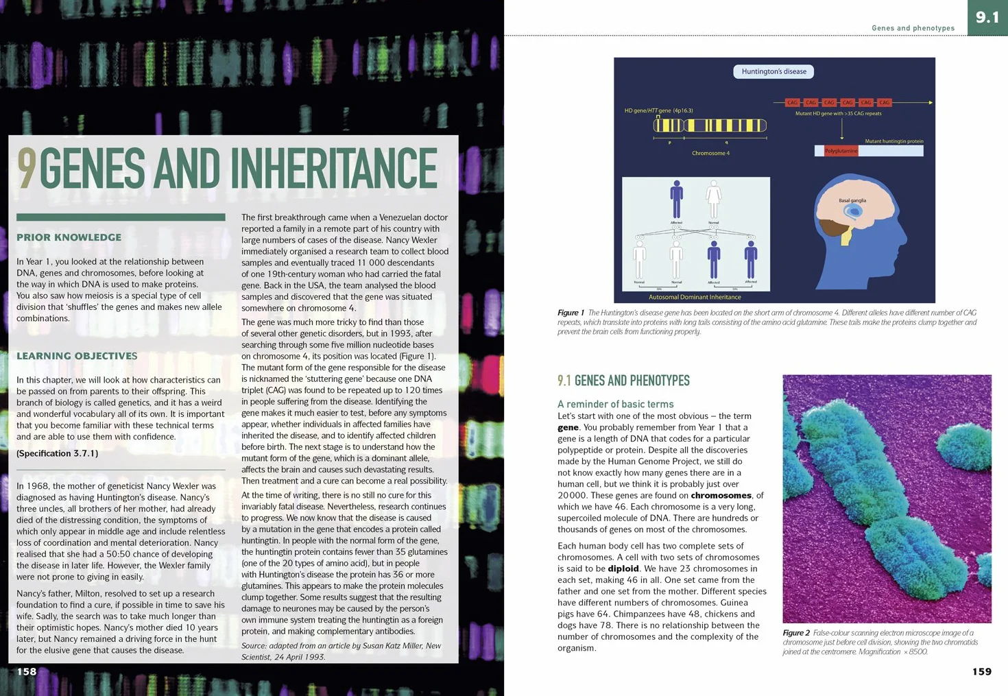AQA A Level Biology Year 2 Student Book