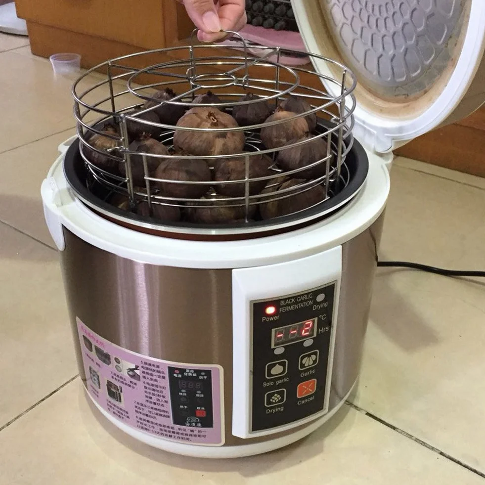 Automatyczny fermentor czarnego czosnku 5 l Garlics Maker DIY