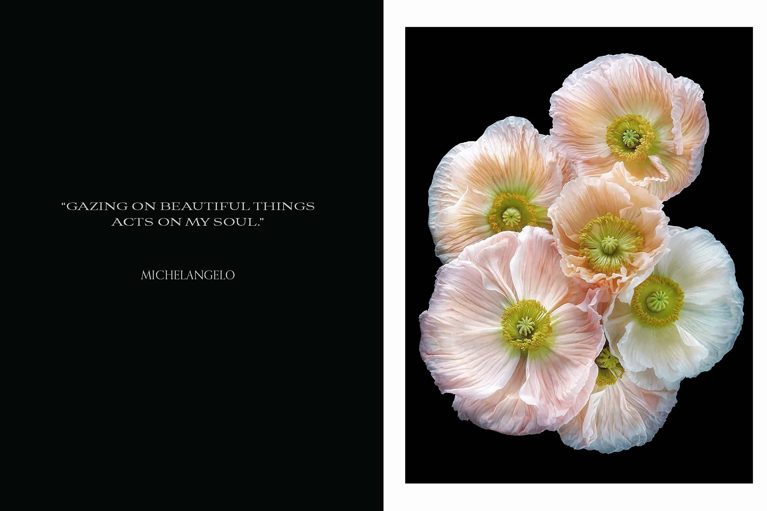 Beauty in Bloom: Floral Portraits
