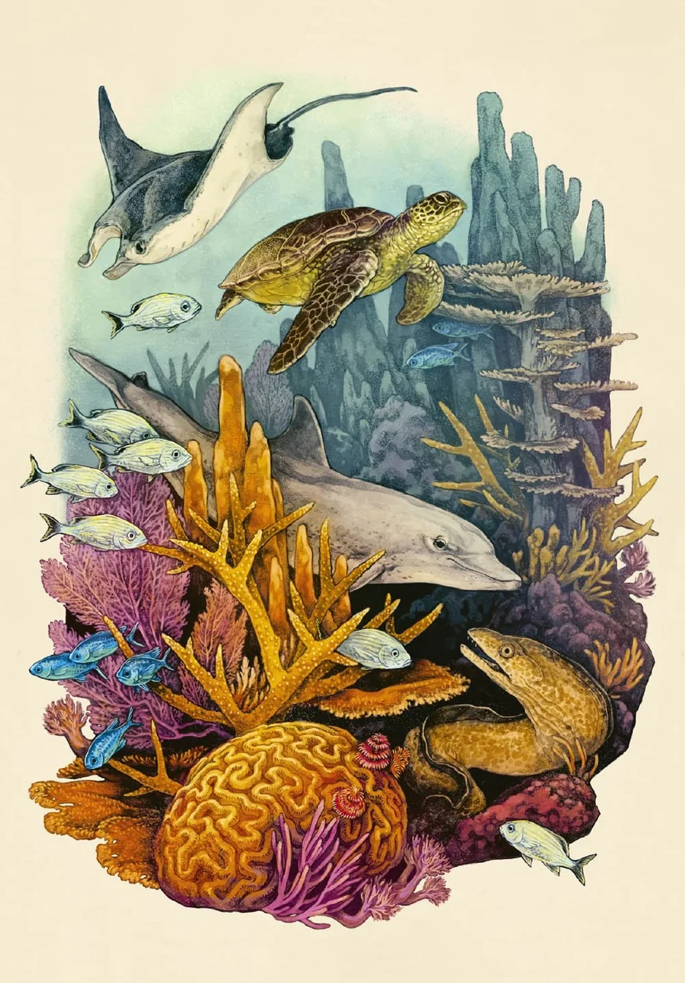 Oceanarium Postcards