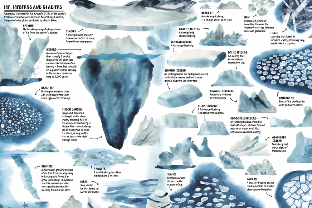 All About Antarctica