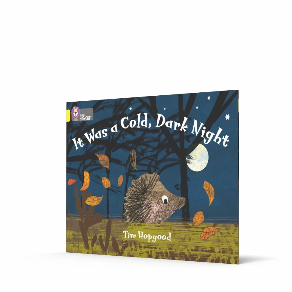 It Was a Cold Dark Night: Band 03/Yellow