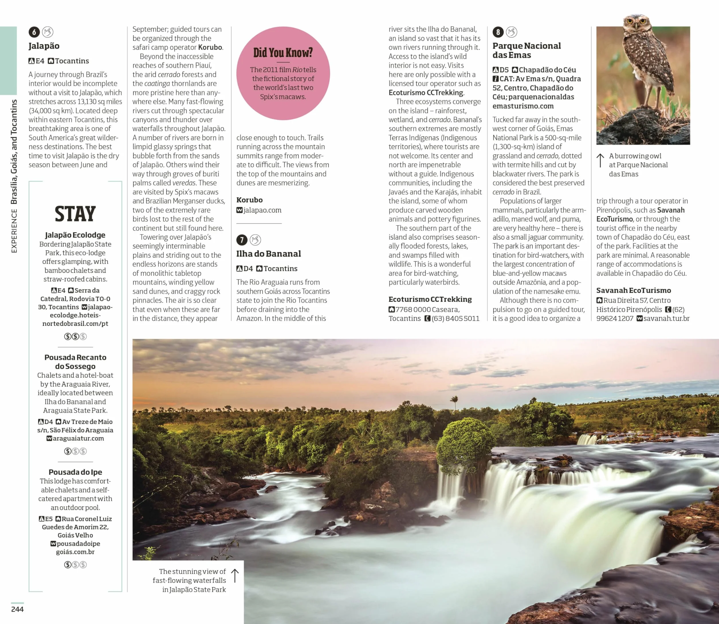 DK Brazil: Must-See Sights. Culture & History. Detailed Maps & Tours. Covers Rio de Janeiro, São Paulo, the Ama