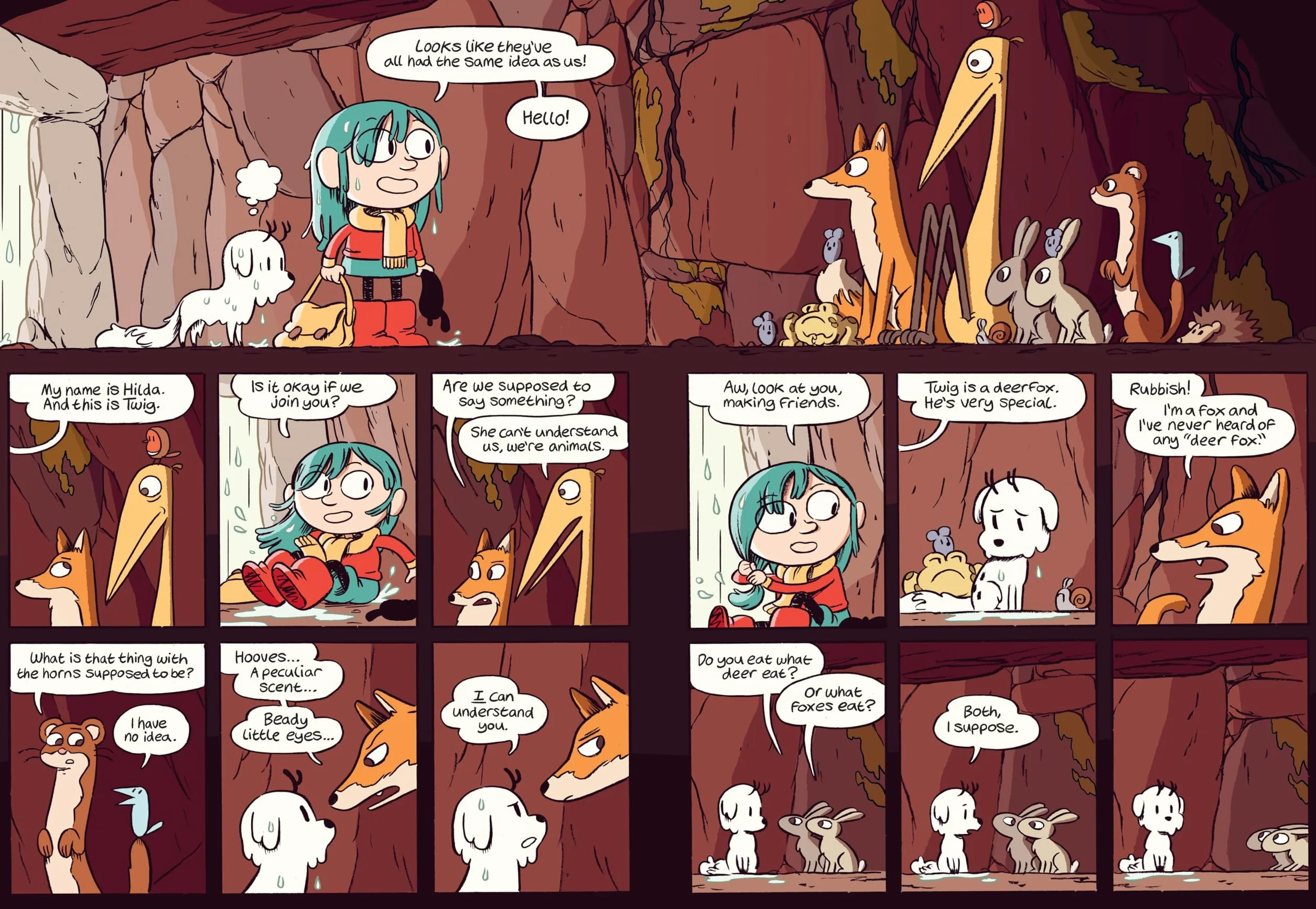 Hilda and Twig: Hide from the Rain: 1