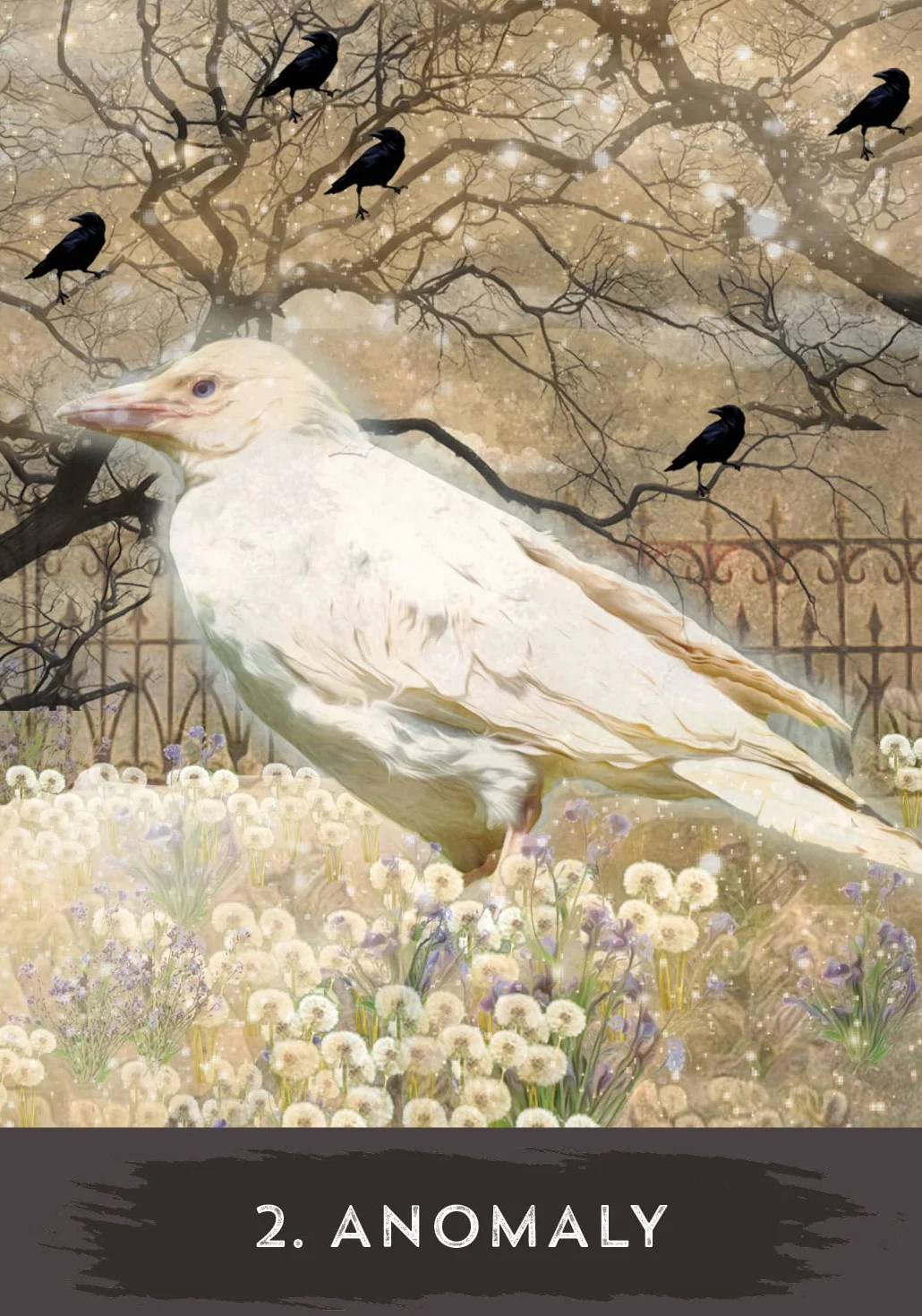 Urban Crow Oracle: 54-Card Deck and Guidebook