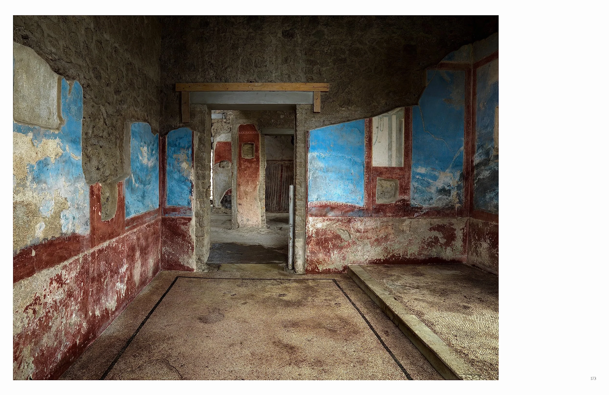 Luigi Spina Inside Pompeii /anglais