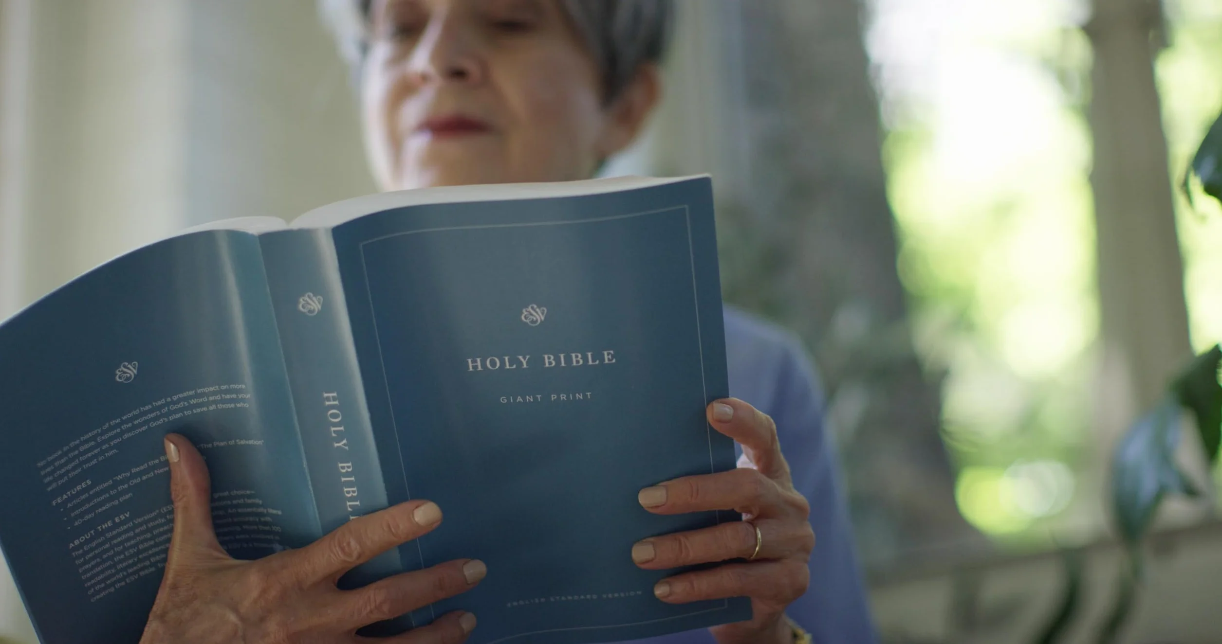 ESV Economy Bible, Giant Print (Paperback)