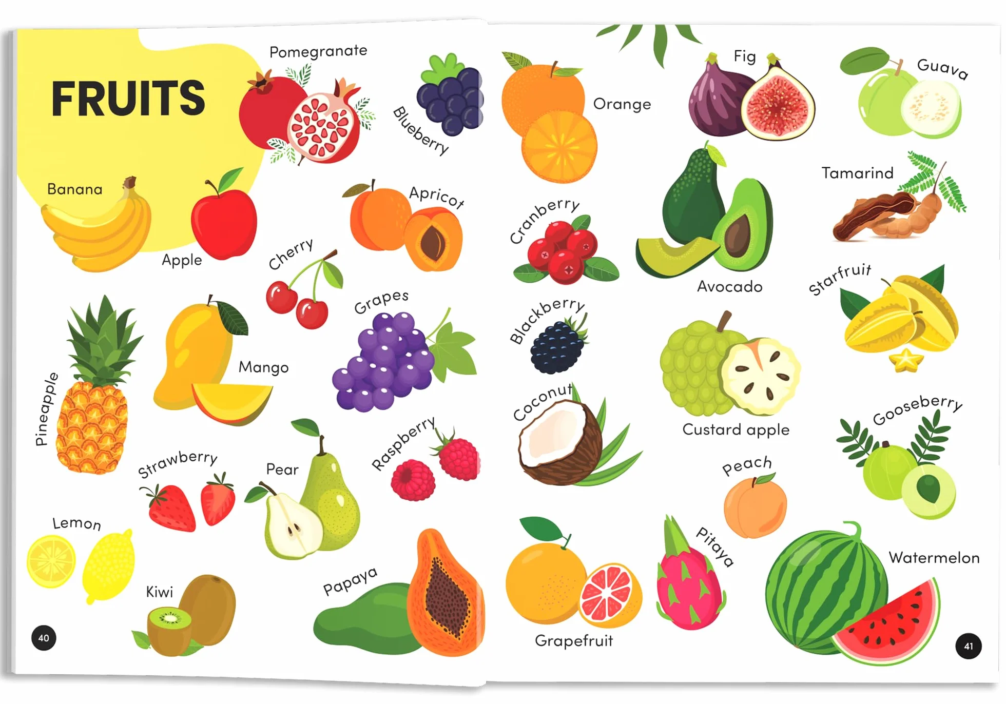My First 1000 Words: Illustrated Picture Book to Learn 1000 Important Words | Includes Body Parts, Things Around Us, Musical Instruments, Sports, Land ... Skills [Penguin Early Learning Series]
