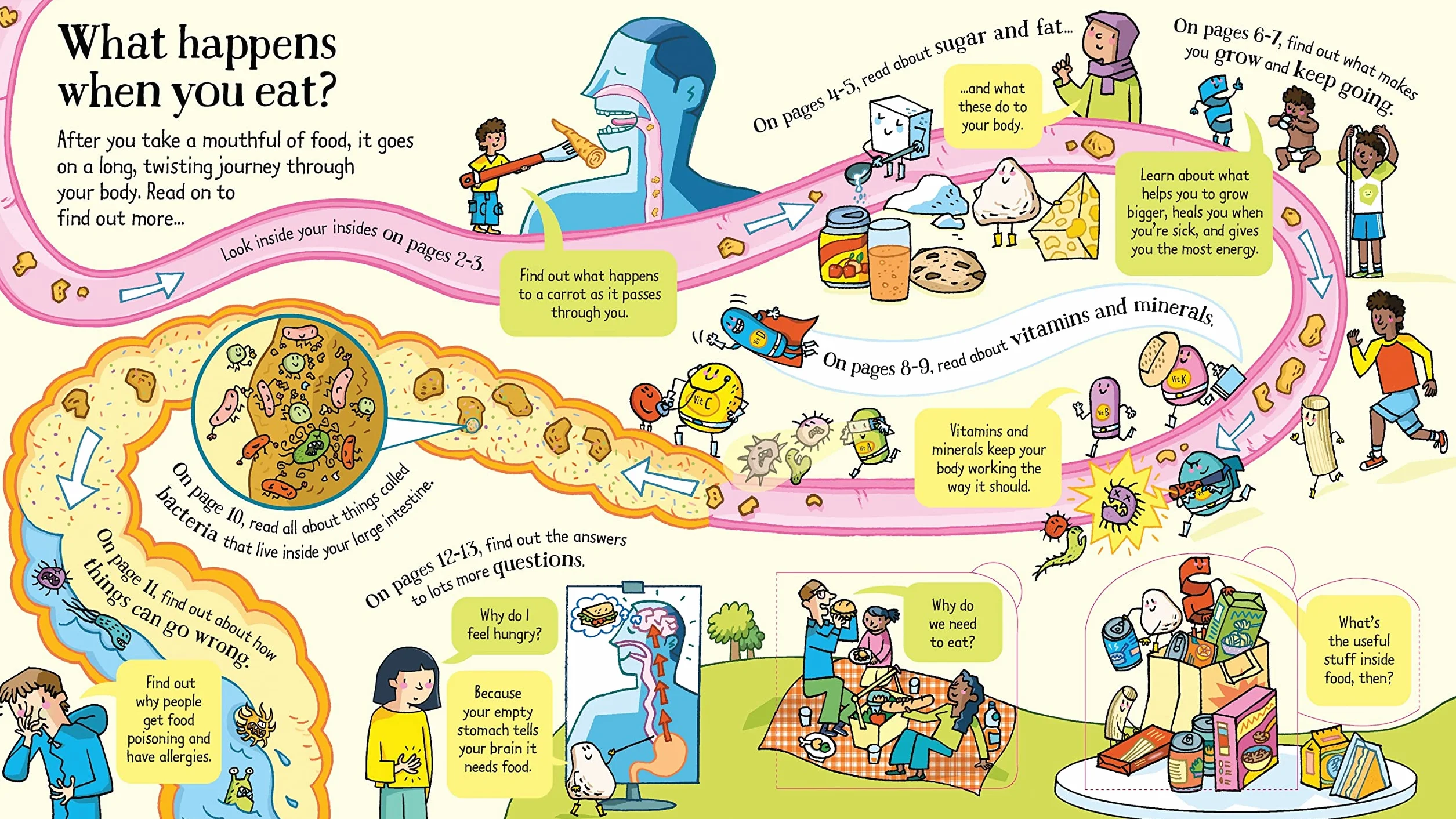 What Happens When You Eat: 1