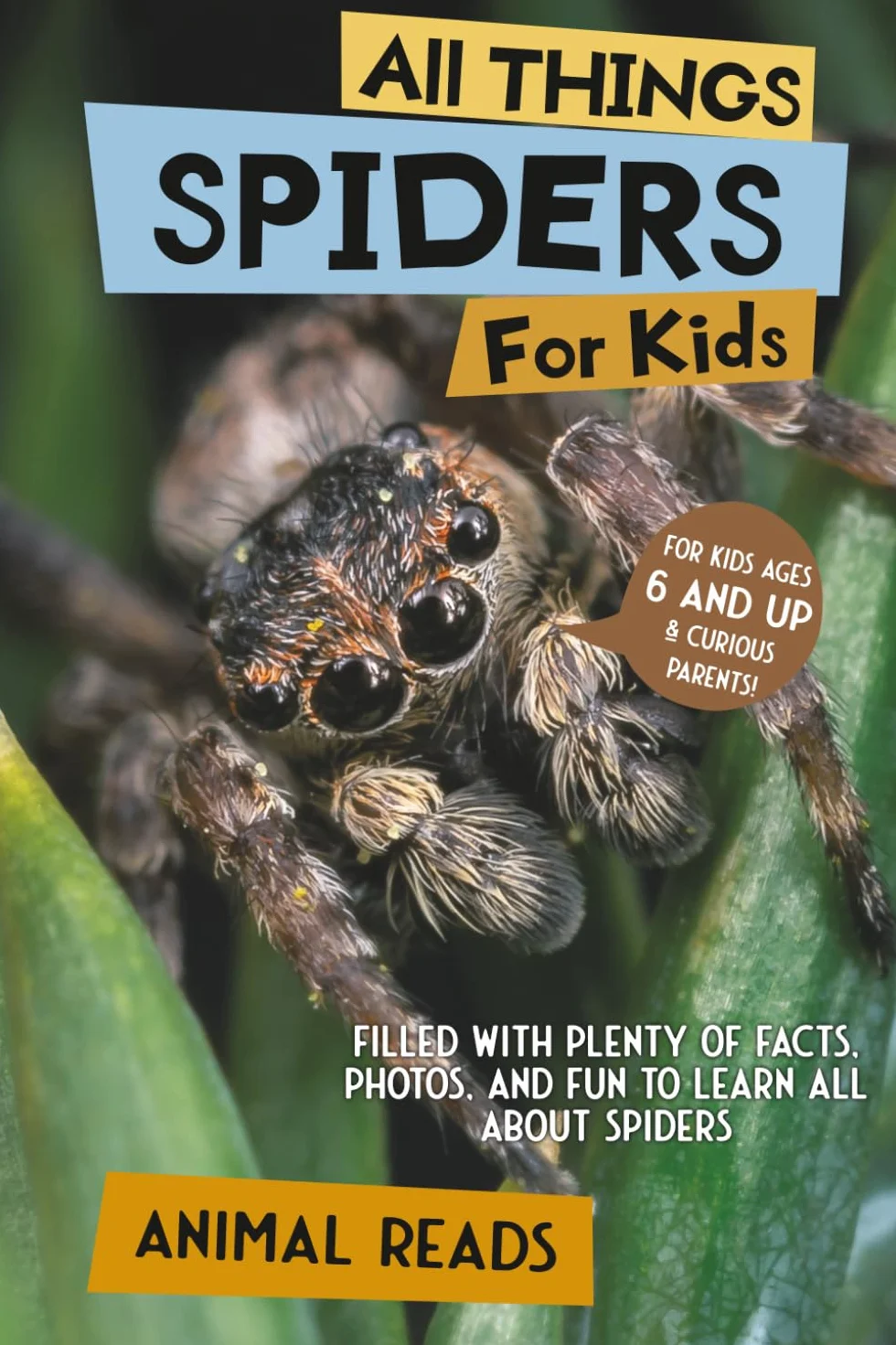 All Things Spiders For Kids: Facts, Photos, and Fun to Learn