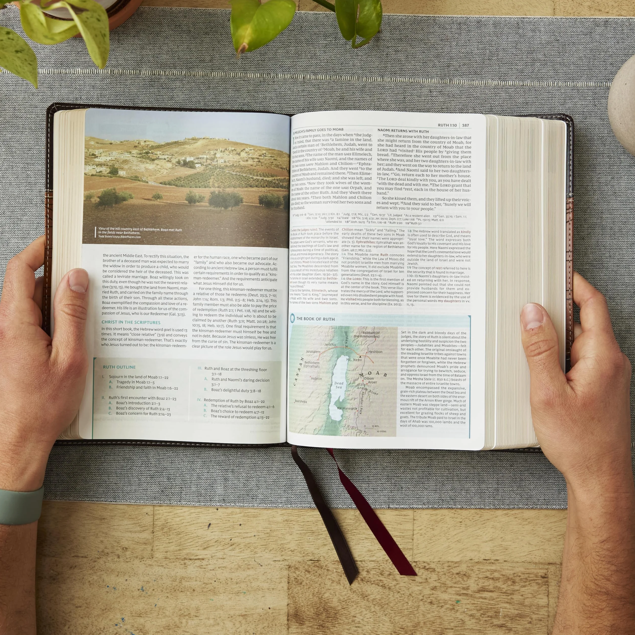 NKJV Study Bible, Hardcover, Full-Color, Red Letter Edition, Comfort Print: The Complete Resource for Studying God's Word