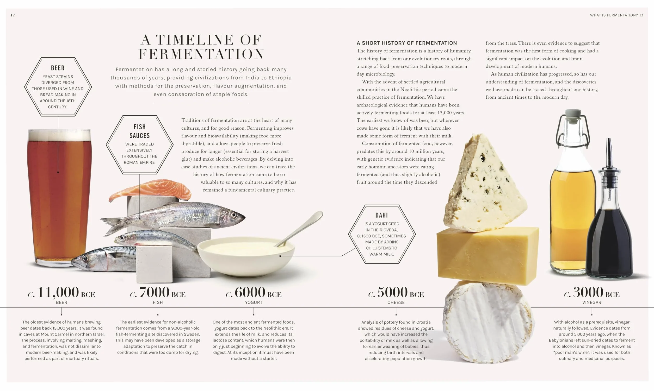 The Science of Fermentation: Explore the Fascinating Alchemy of Fermented Food and Drink