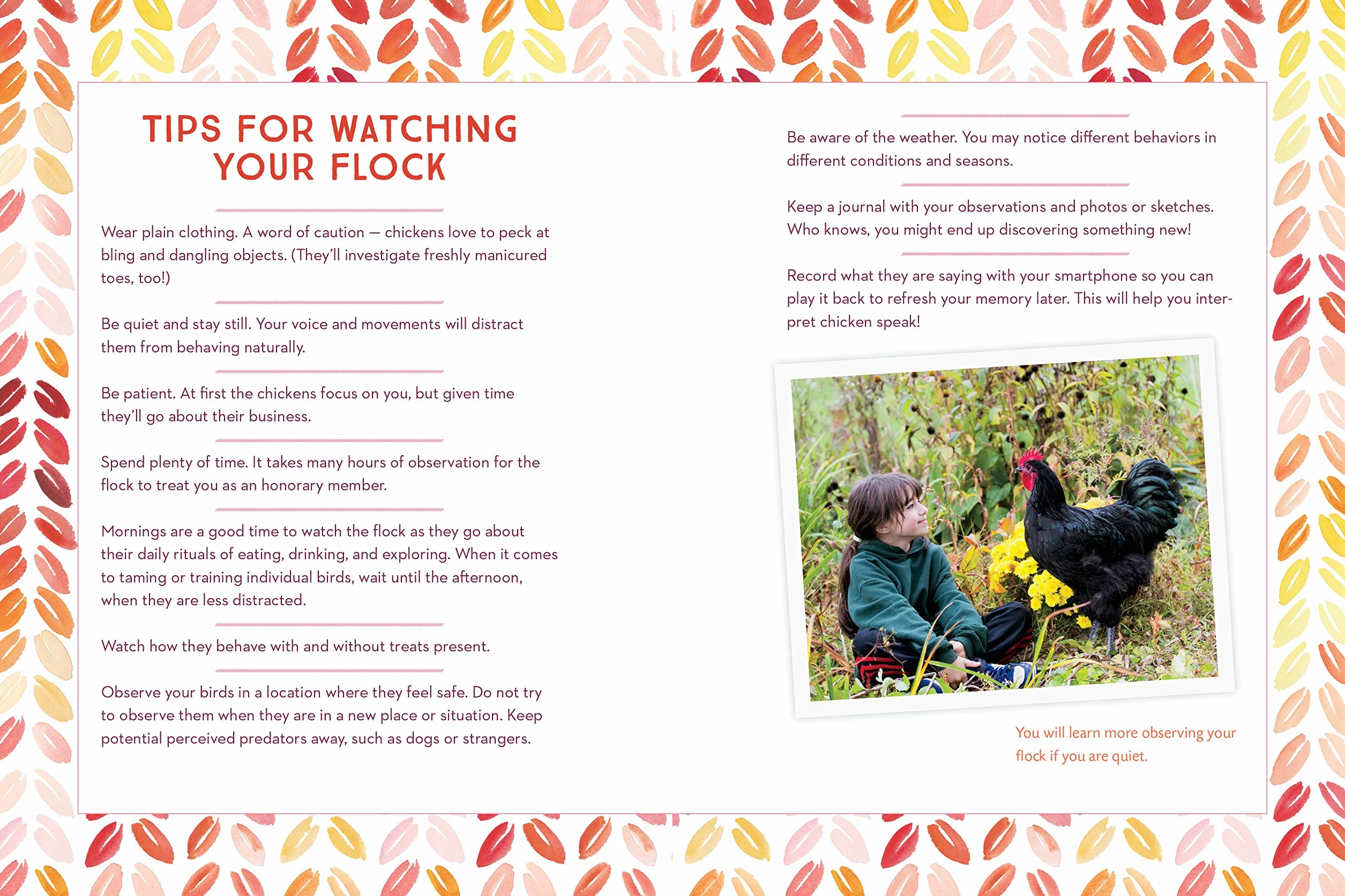 How to Speak Chicken: Why Your Chickens Do What They Do & Say What They Say