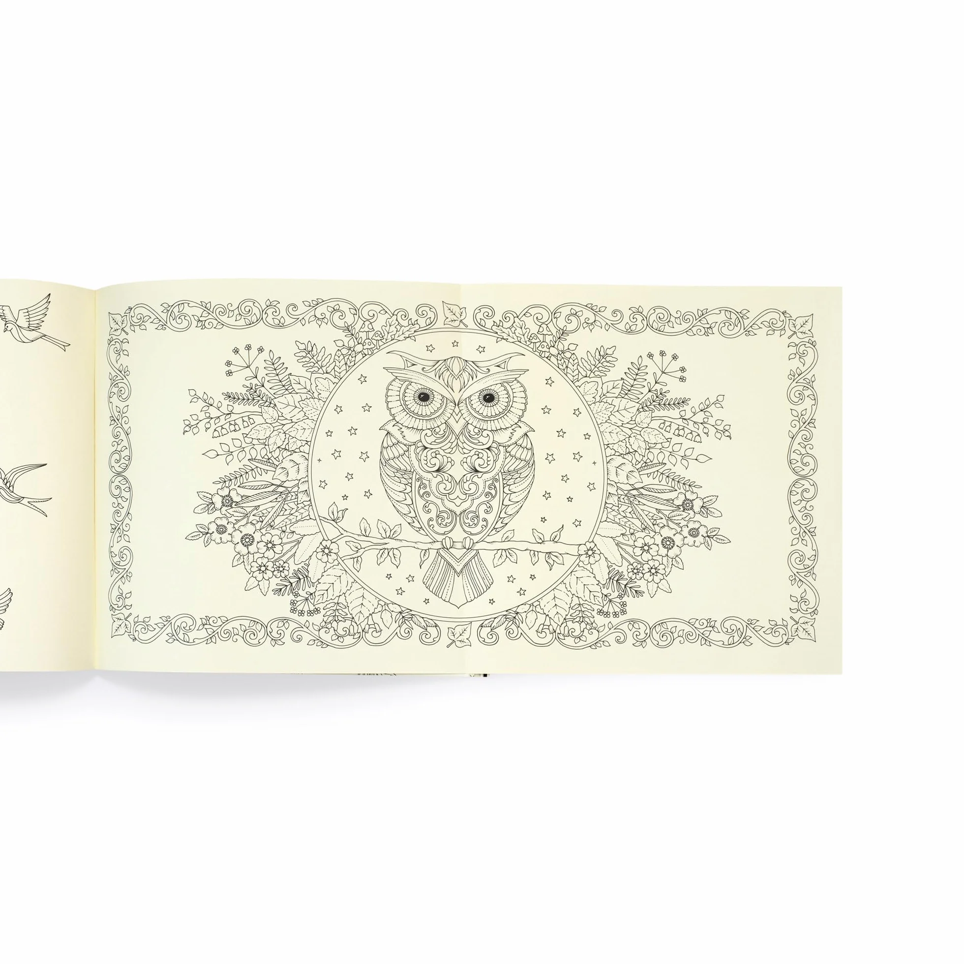 Enchanted Forest 10th Anniversary Limited Special Edition