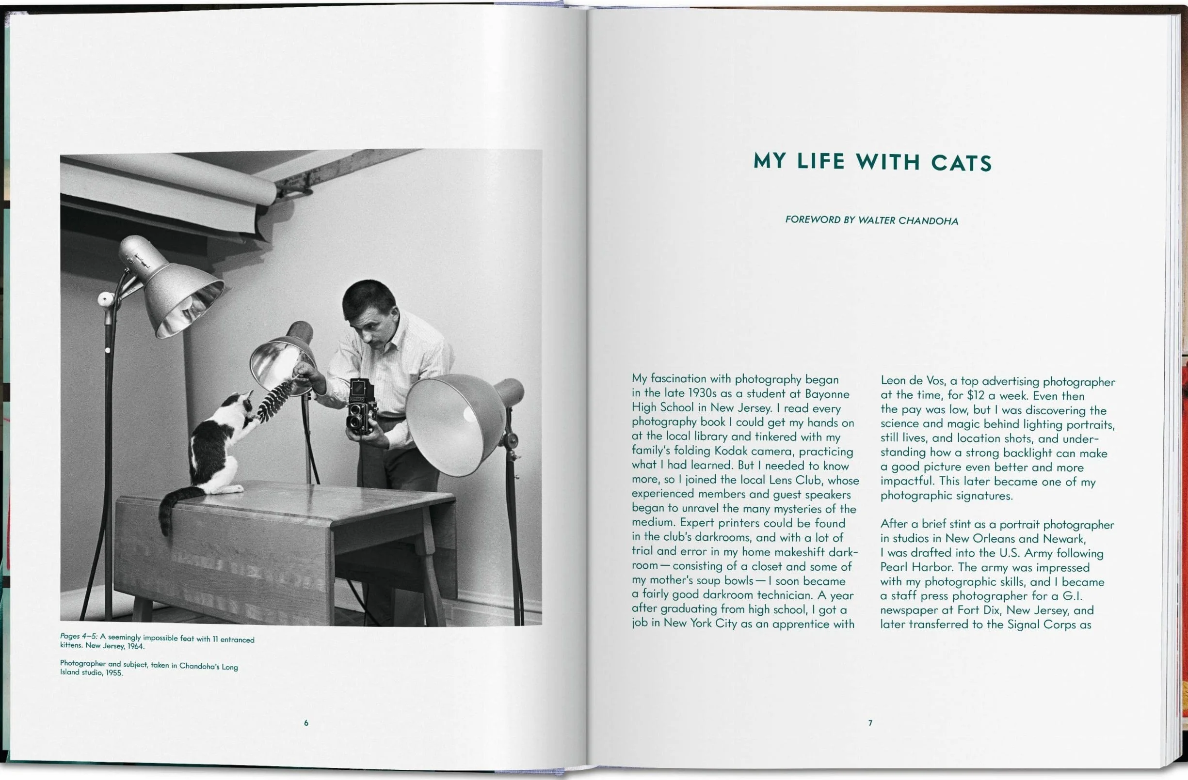 Cats Photographs 1942-2018