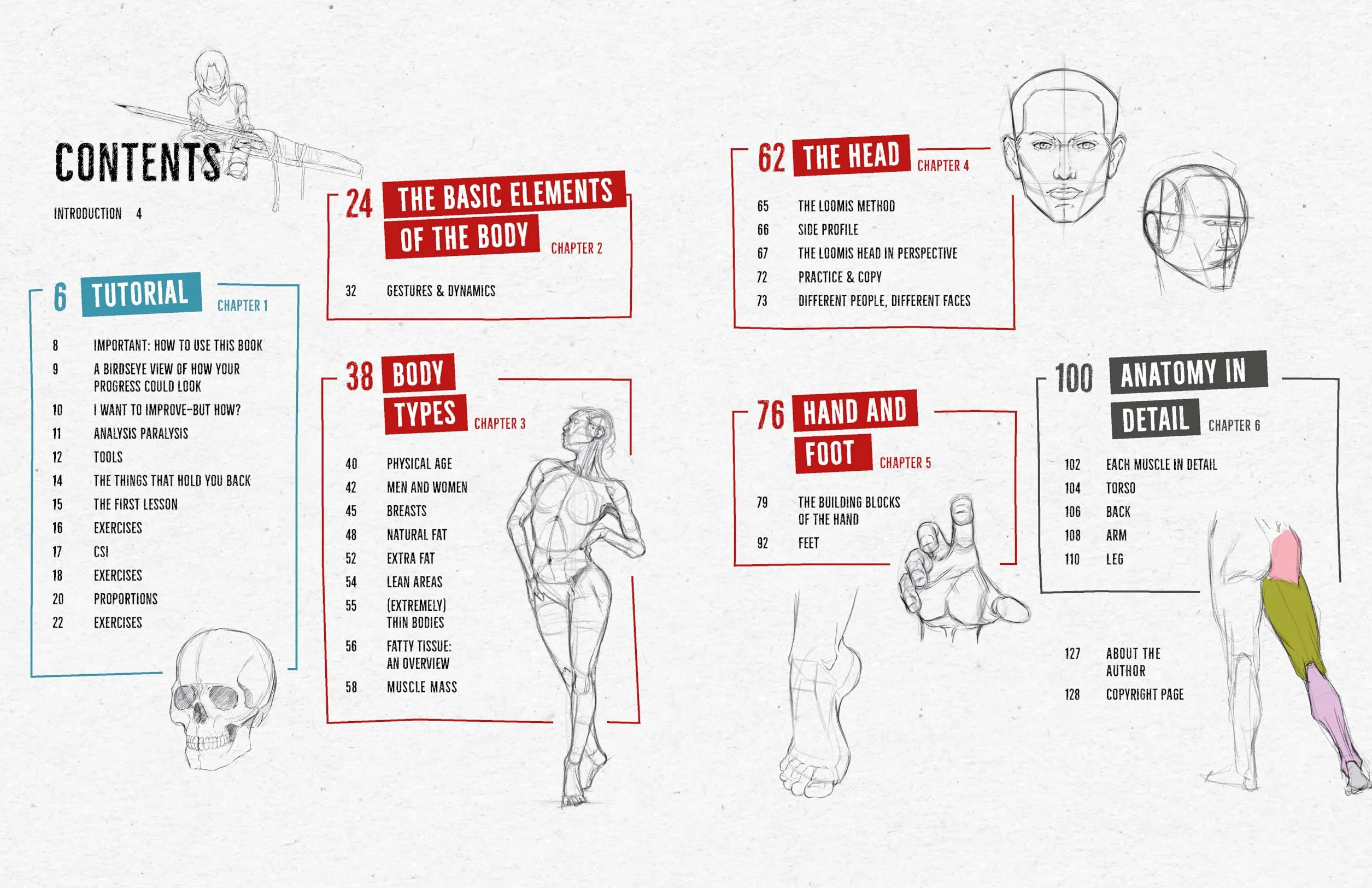 Draw Like a Mangaka: Anatomy: A Comprehensive Anatomical Reference - Master Anatomy, Figure Drawing and Poses