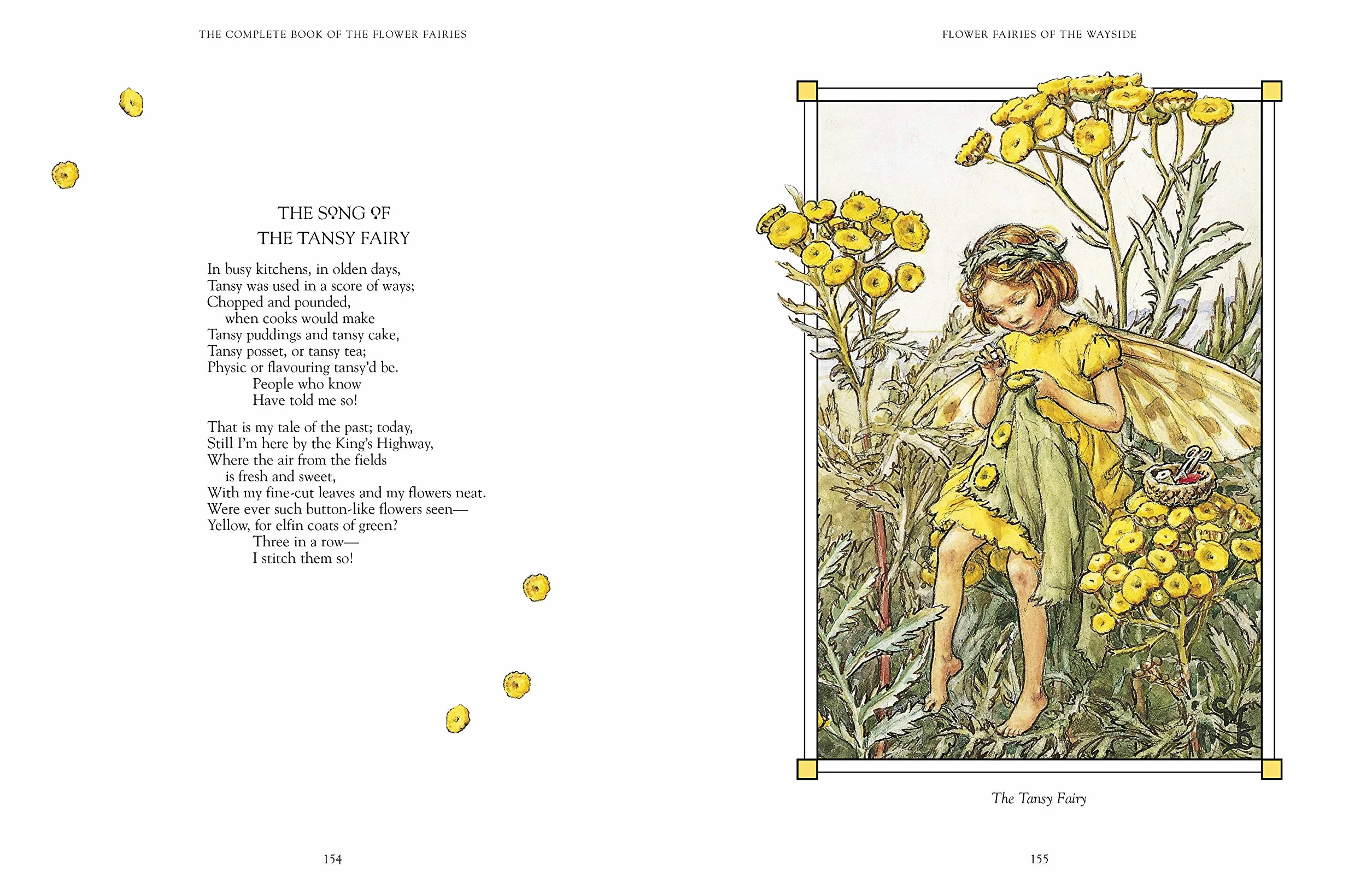 The Complete Book of the Flower Fairies