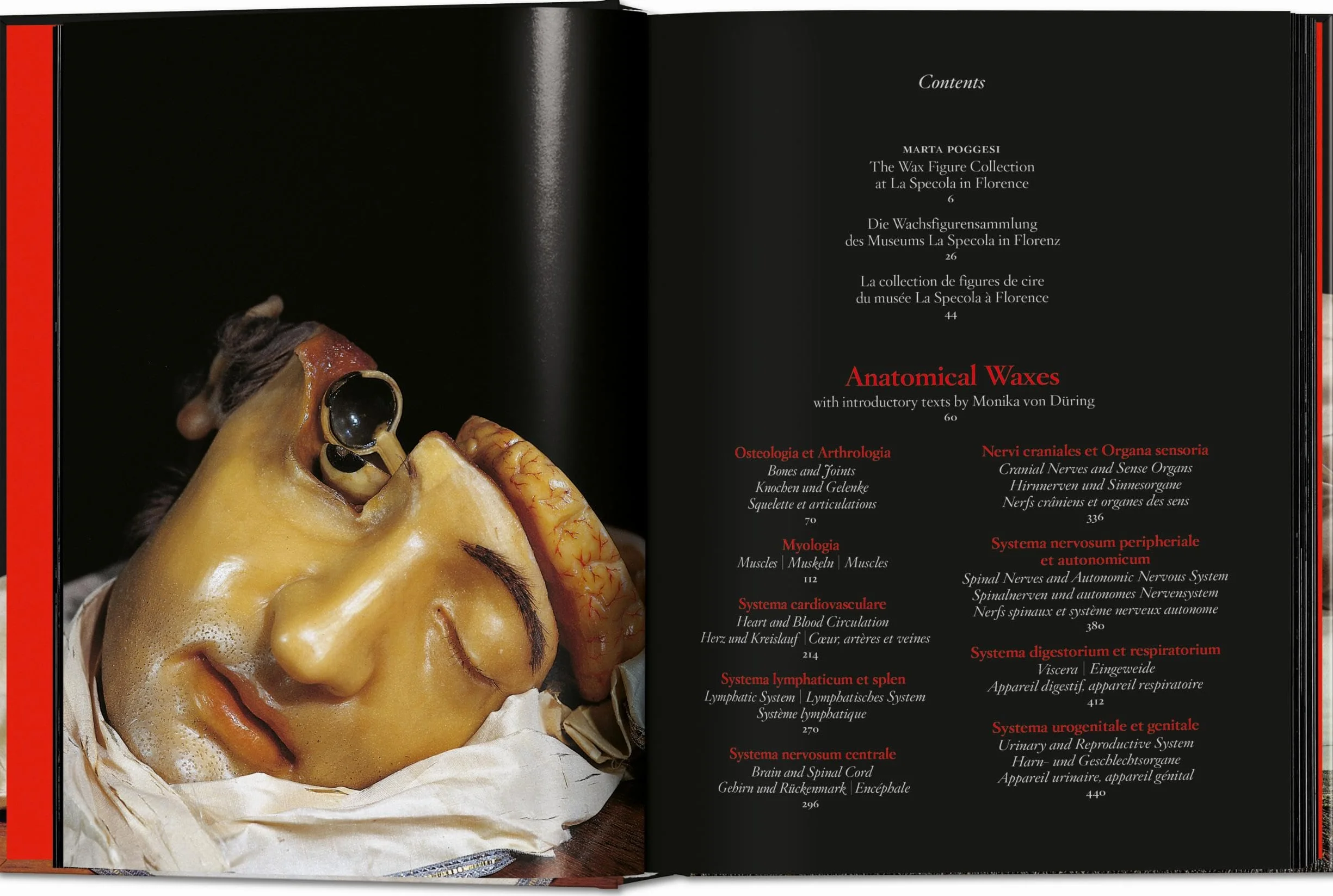 Anatomical Waxes. 45th Ed.