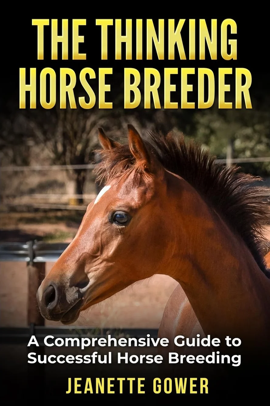 The Thinking Horse Breeder: A comprehensive guide to successful horse breeding
