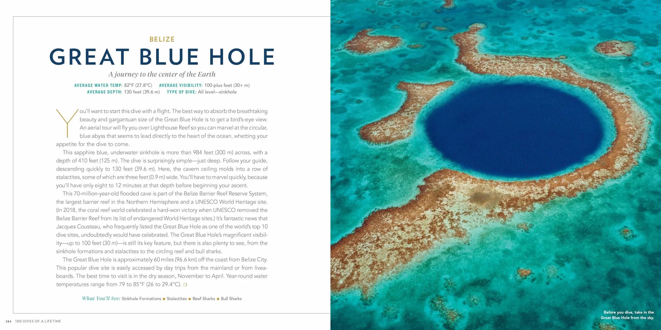 100 Dives of a Lifetime: The World's Ultimate Underwater Destinations