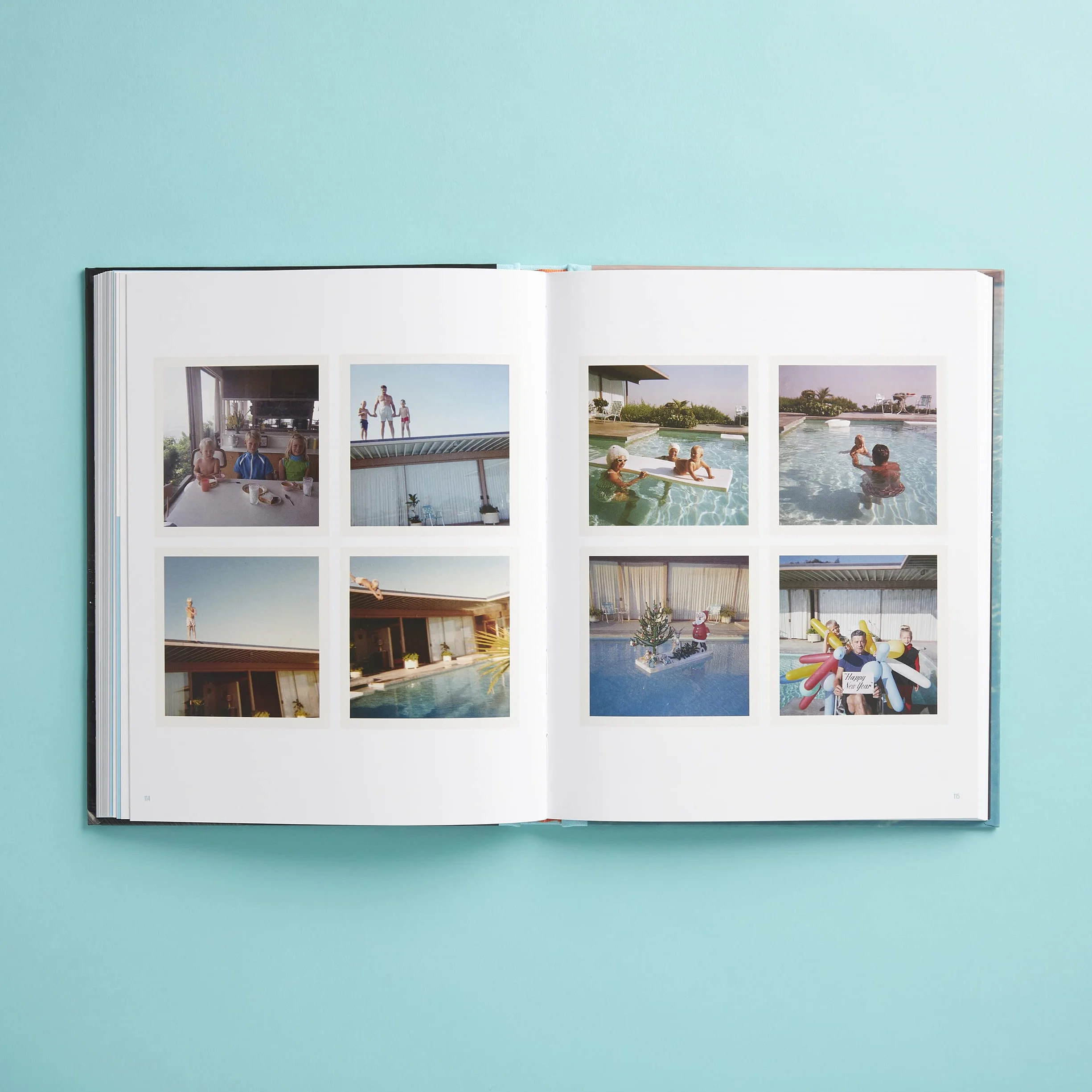 The Stahl House: Case Study House Ú22: The Making of a Modernist Icon