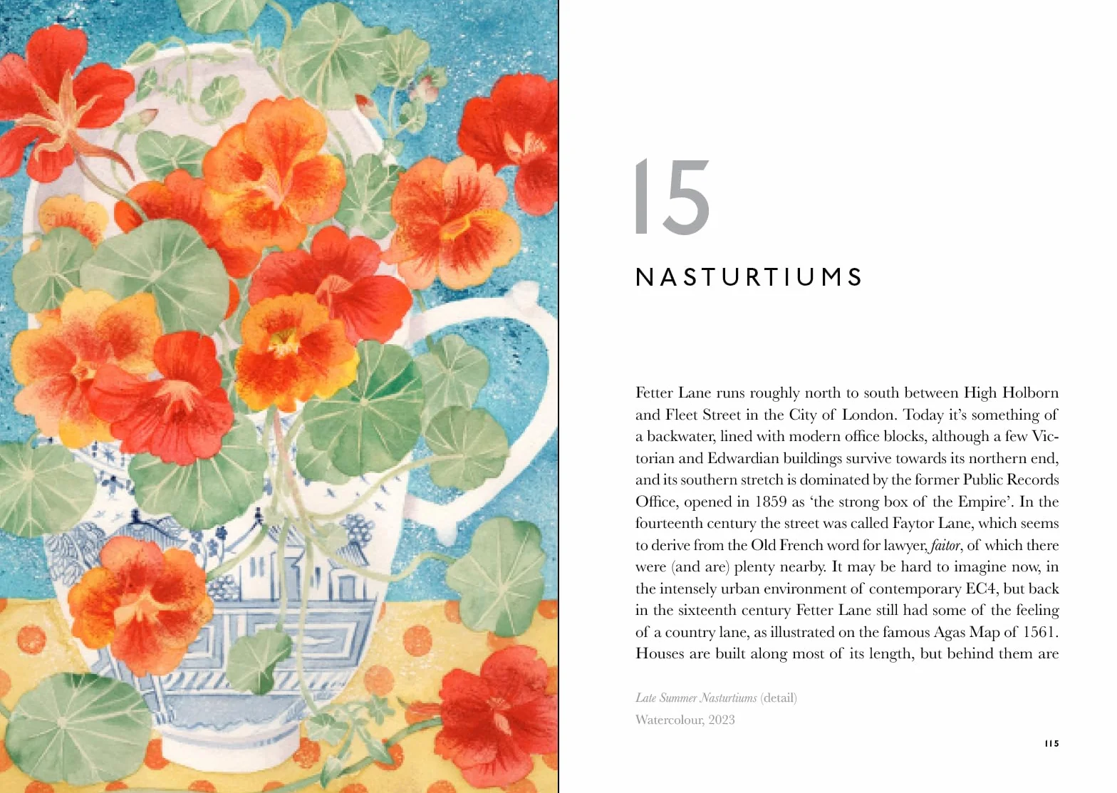 The Book of Garden Flowers