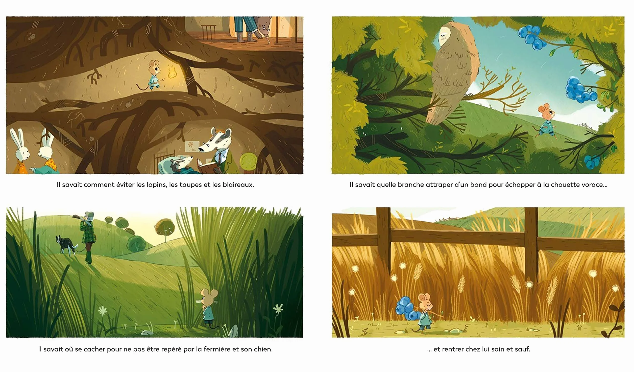 Jules et le renard