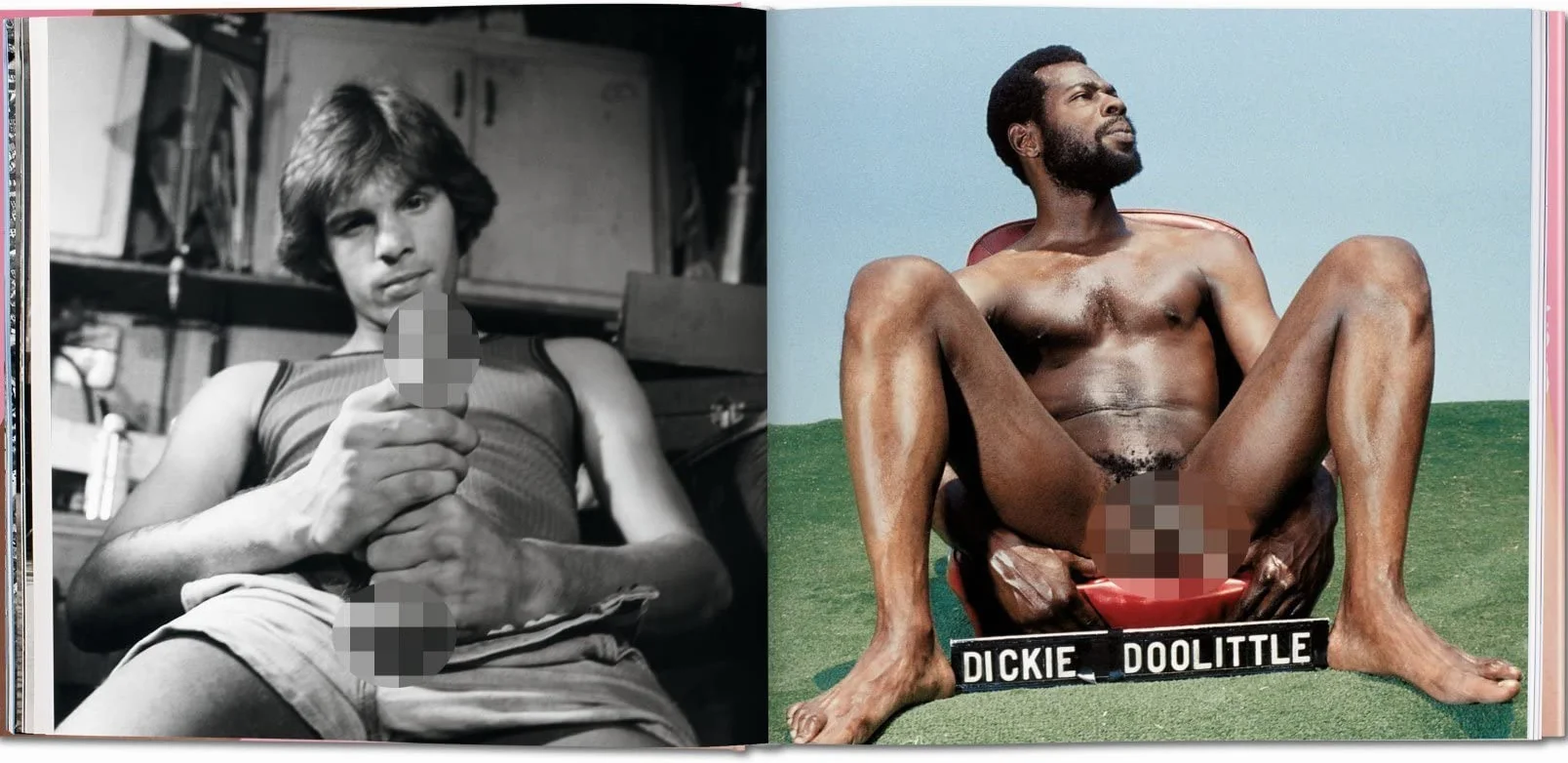 The Big Penis Book: The Fascinating Phallus