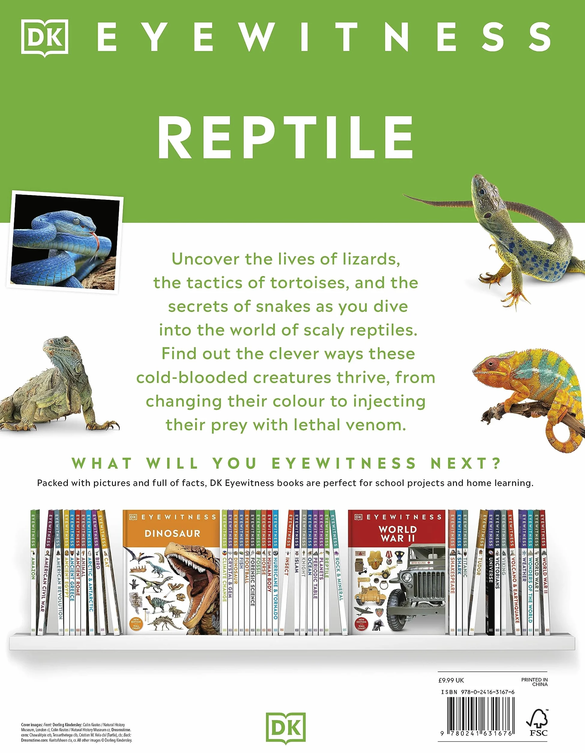 DK Eyewitness Reptile