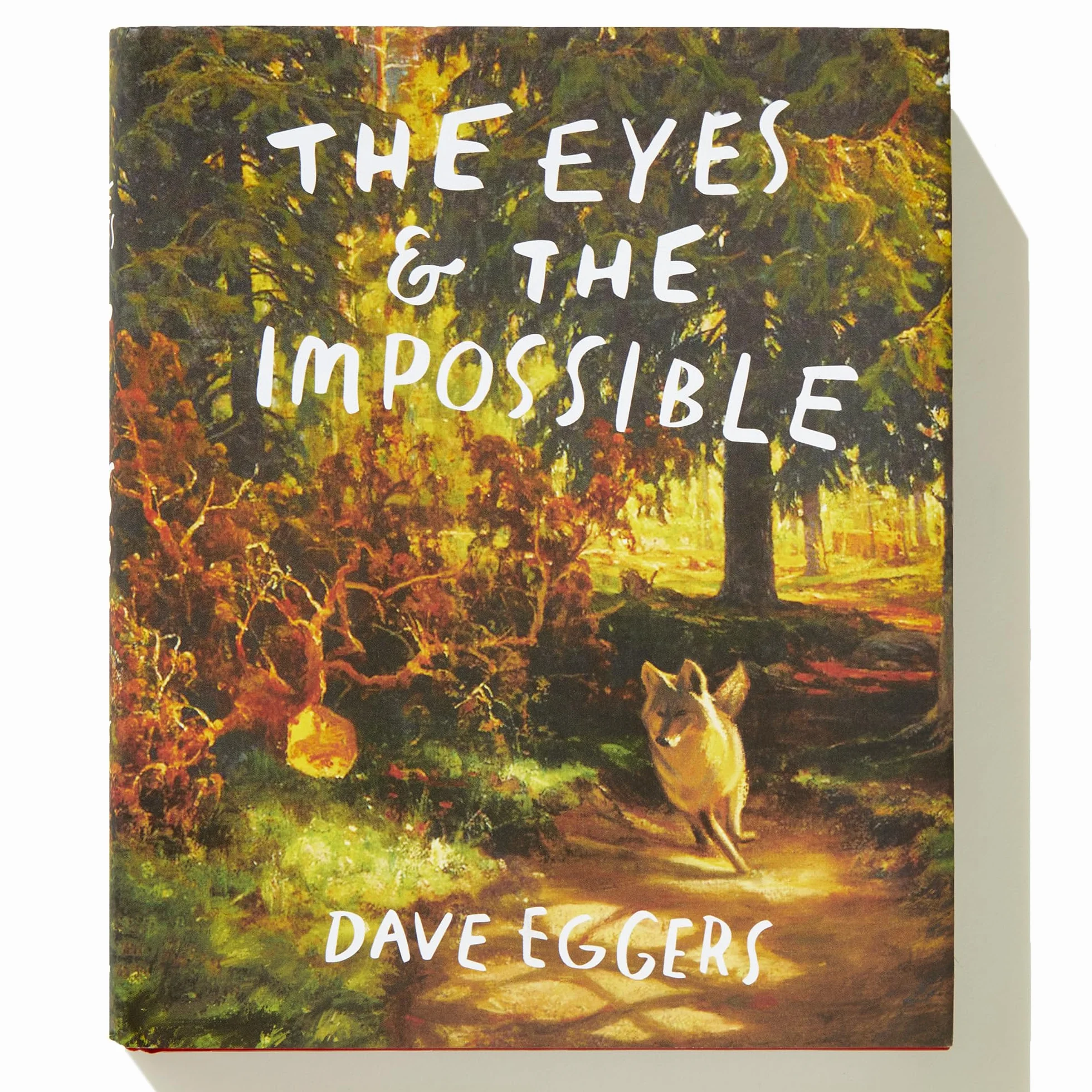 The Eyes and the Impossible: Newbery Medal Winner