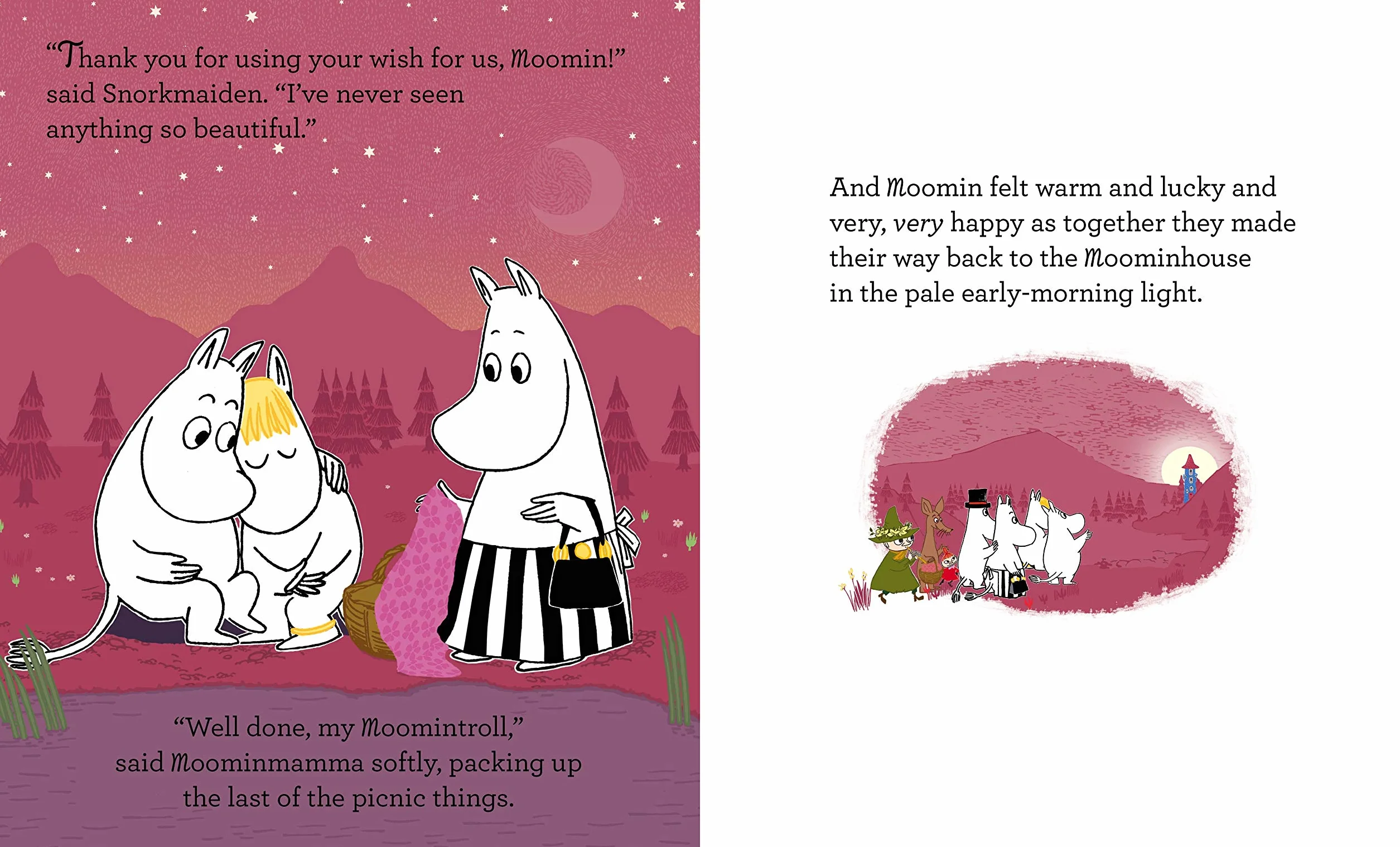 Moomin and the Wishing Star